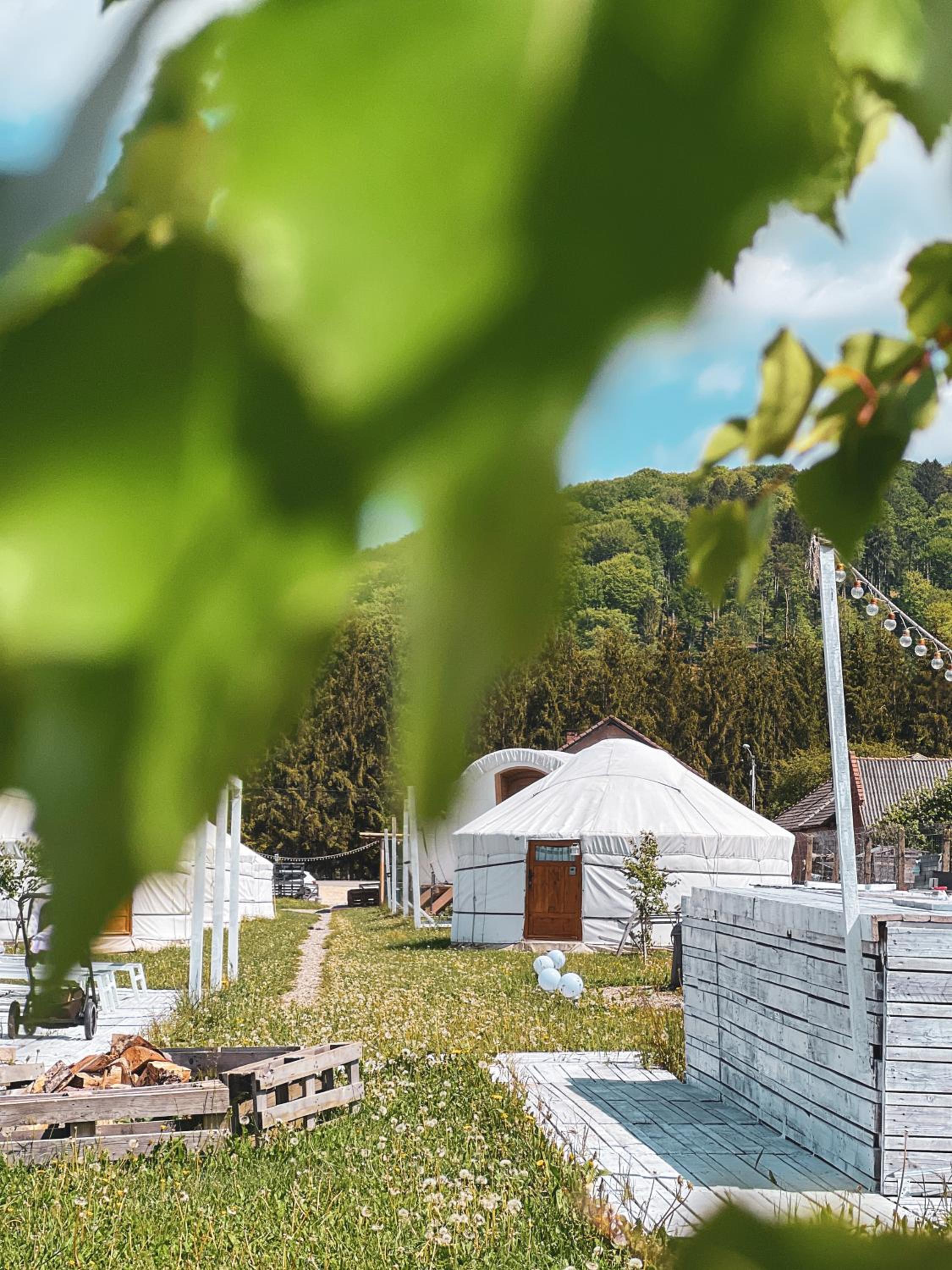 Glamping Iurte Mongole Spiritul Zimbrului