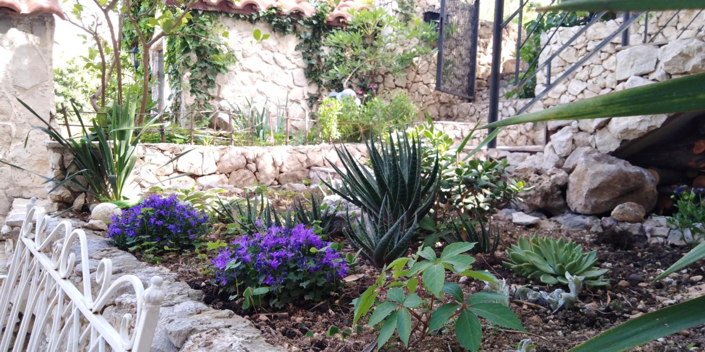 Photo 16