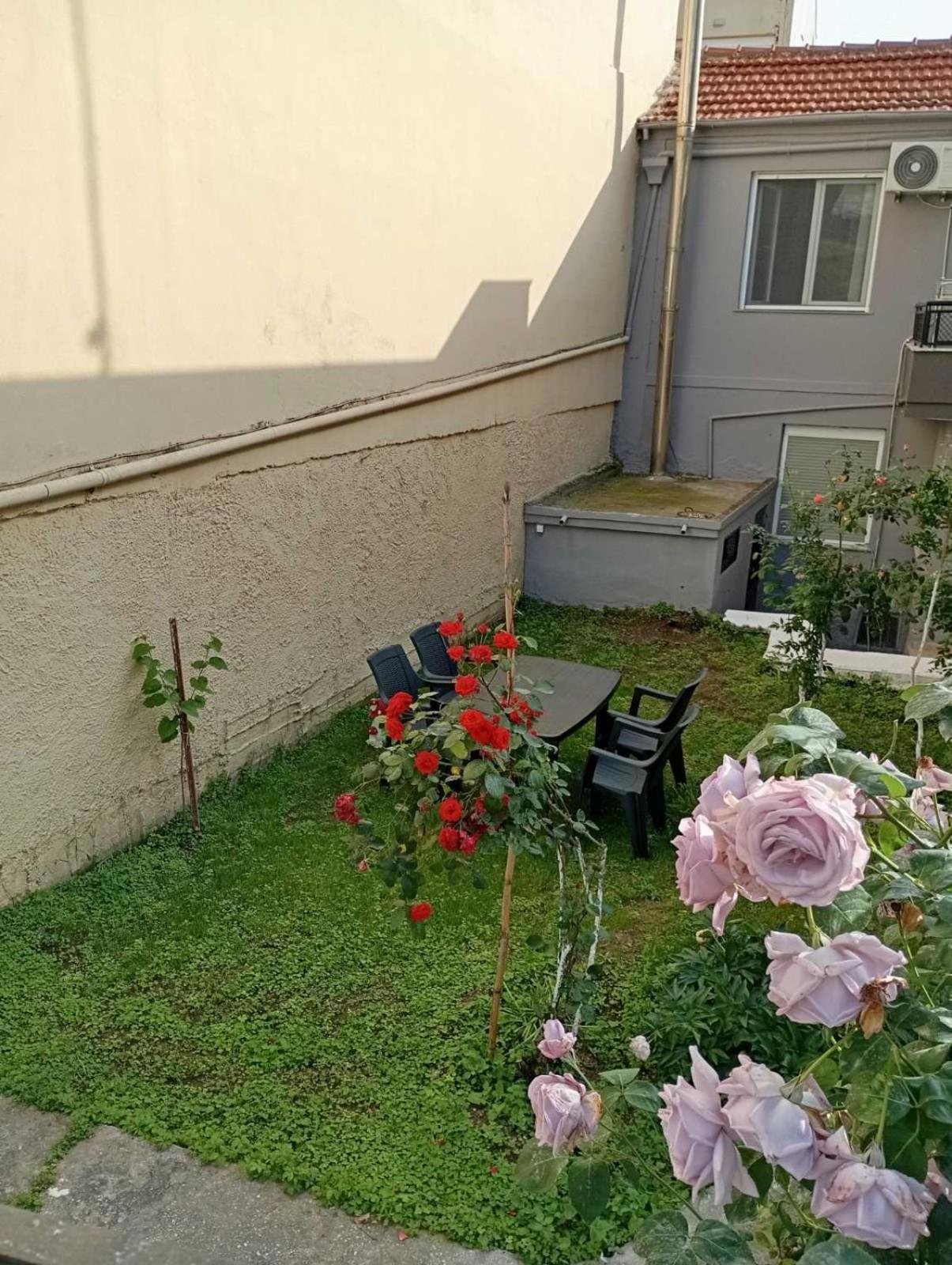 House & Garden view 4