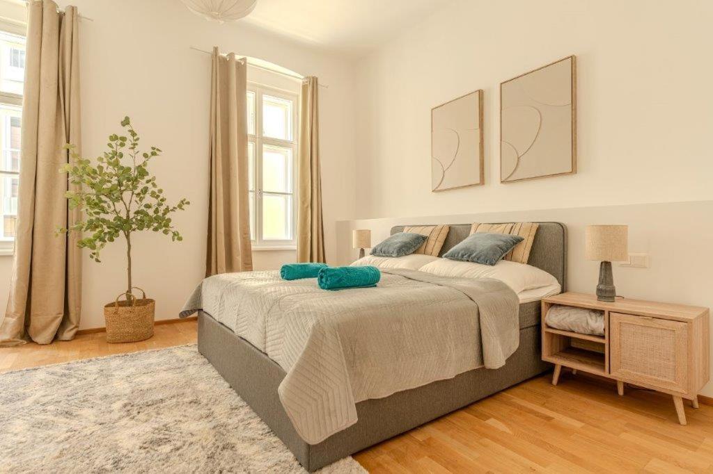 Deluxe Apartments near the center