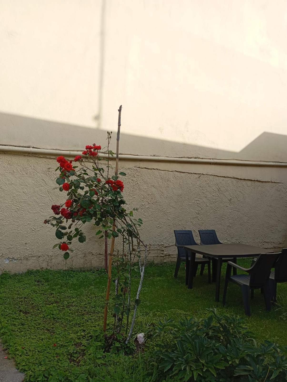 House & Garden view 3