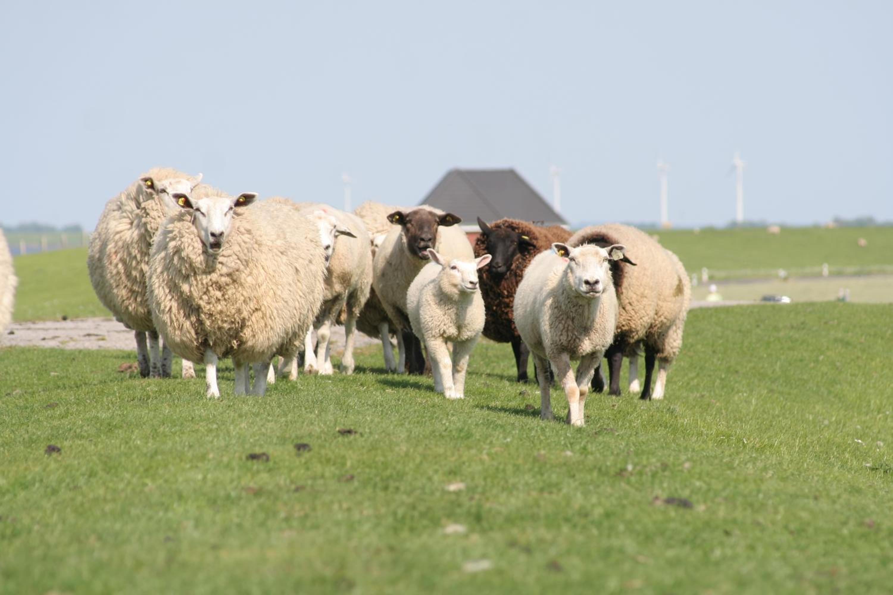 Alte Bäckerei