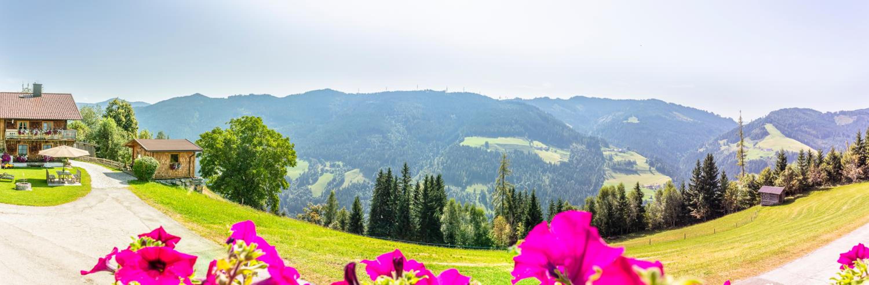 Landhaus Hochkönig view 4