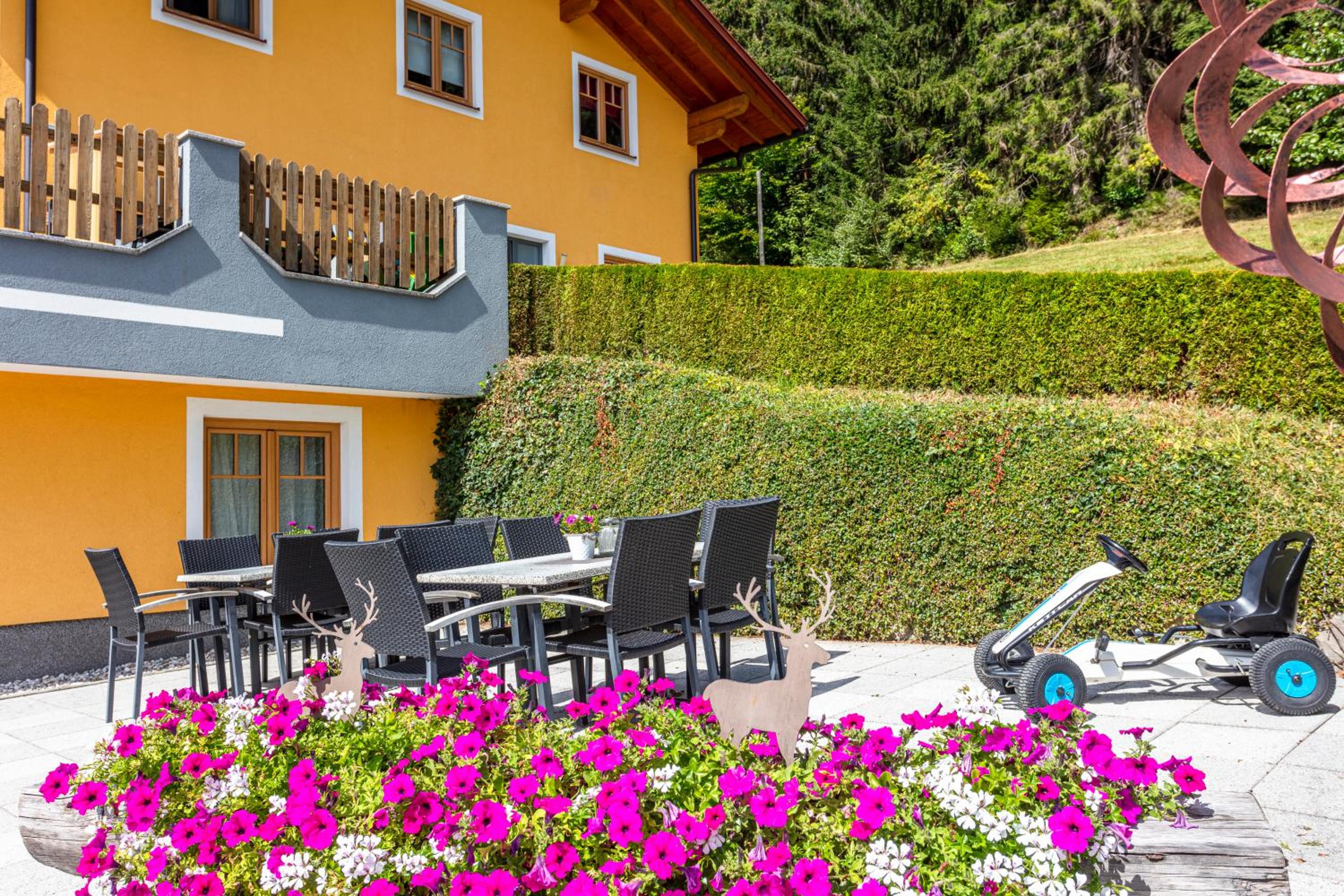 Landhaus Hochkönig view 3