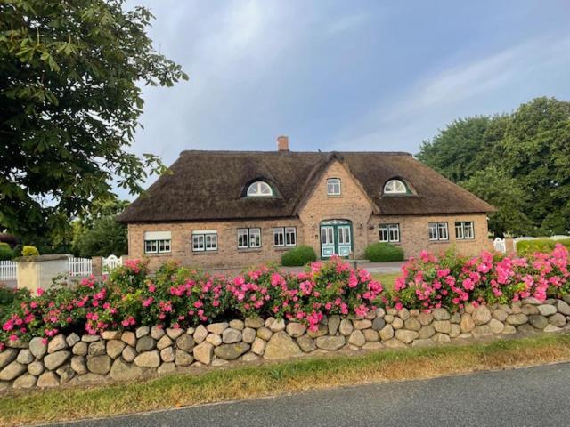 Reetdachhaus KüstenVilla Büsum
