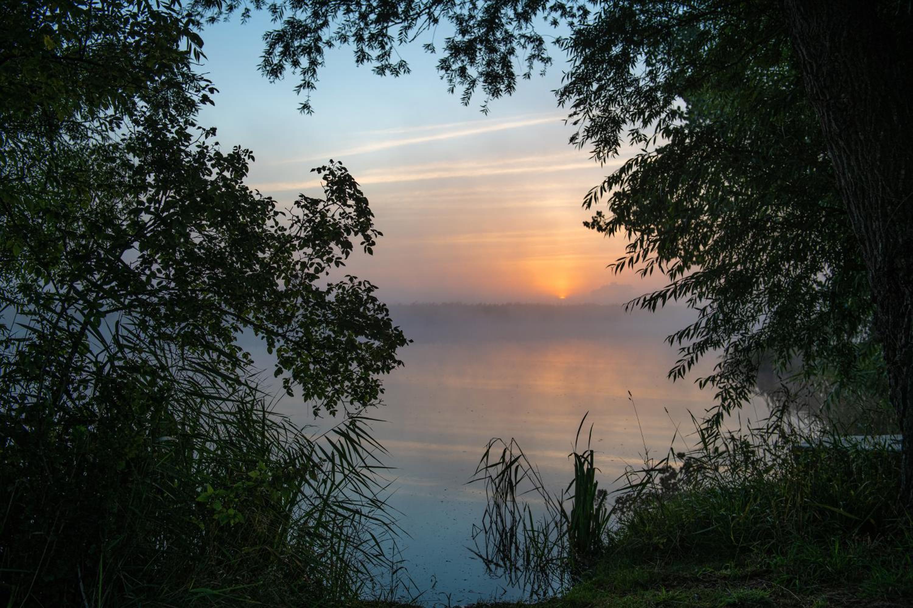 Reetdachhaus direkt am Wasser