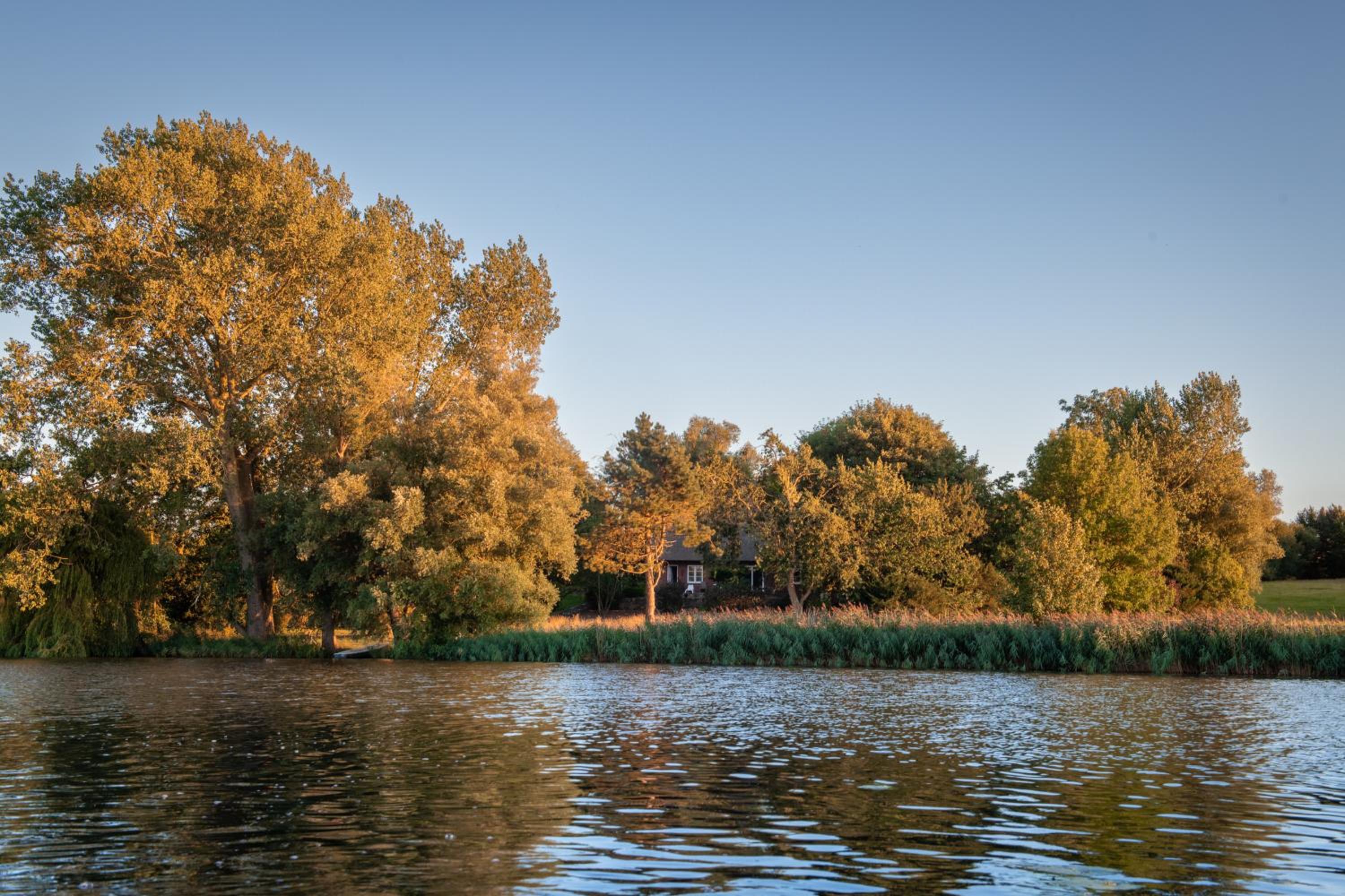 Reetdachhaus direkt am Wasser