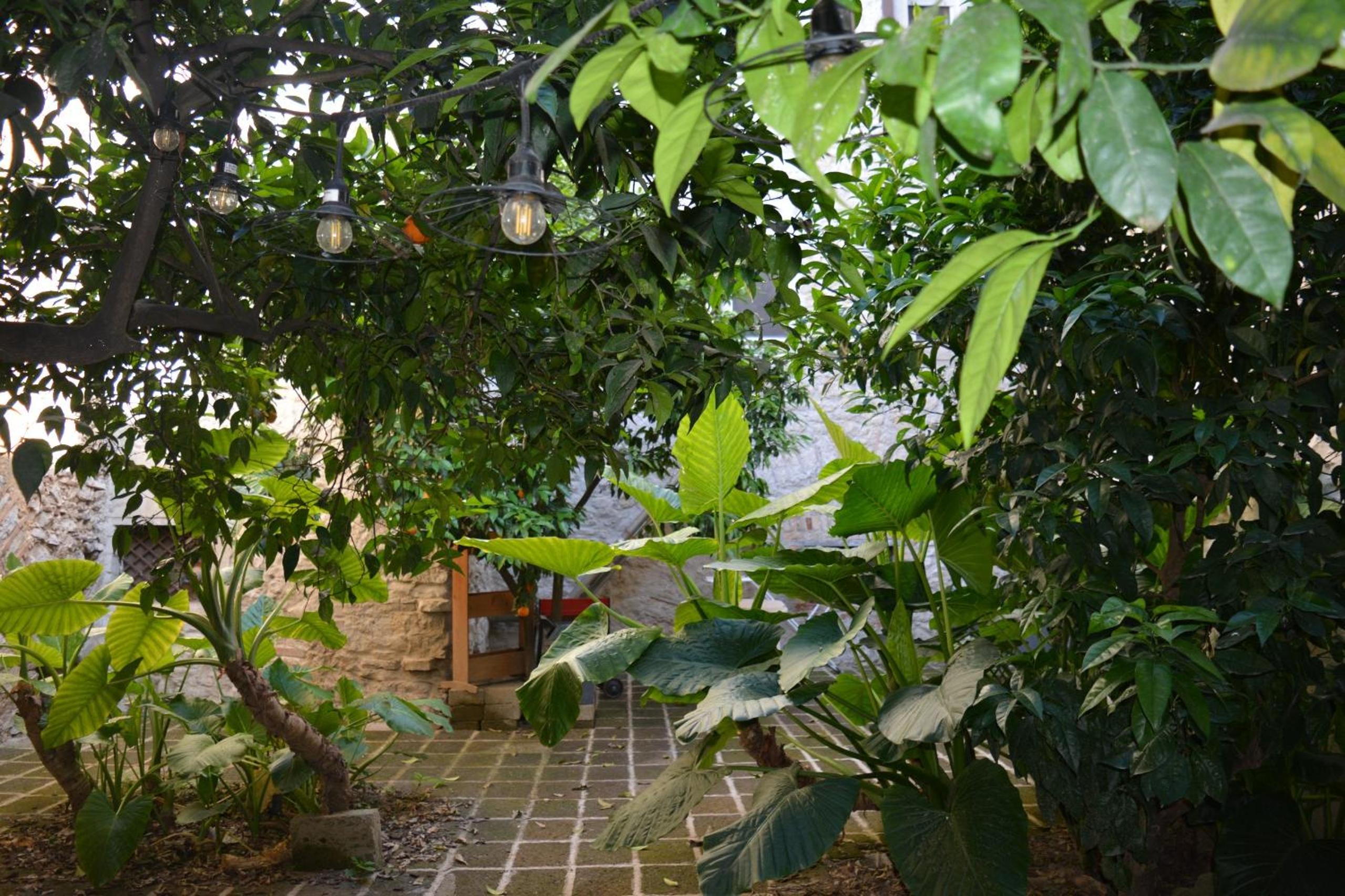 B&B MAMAOH view 5