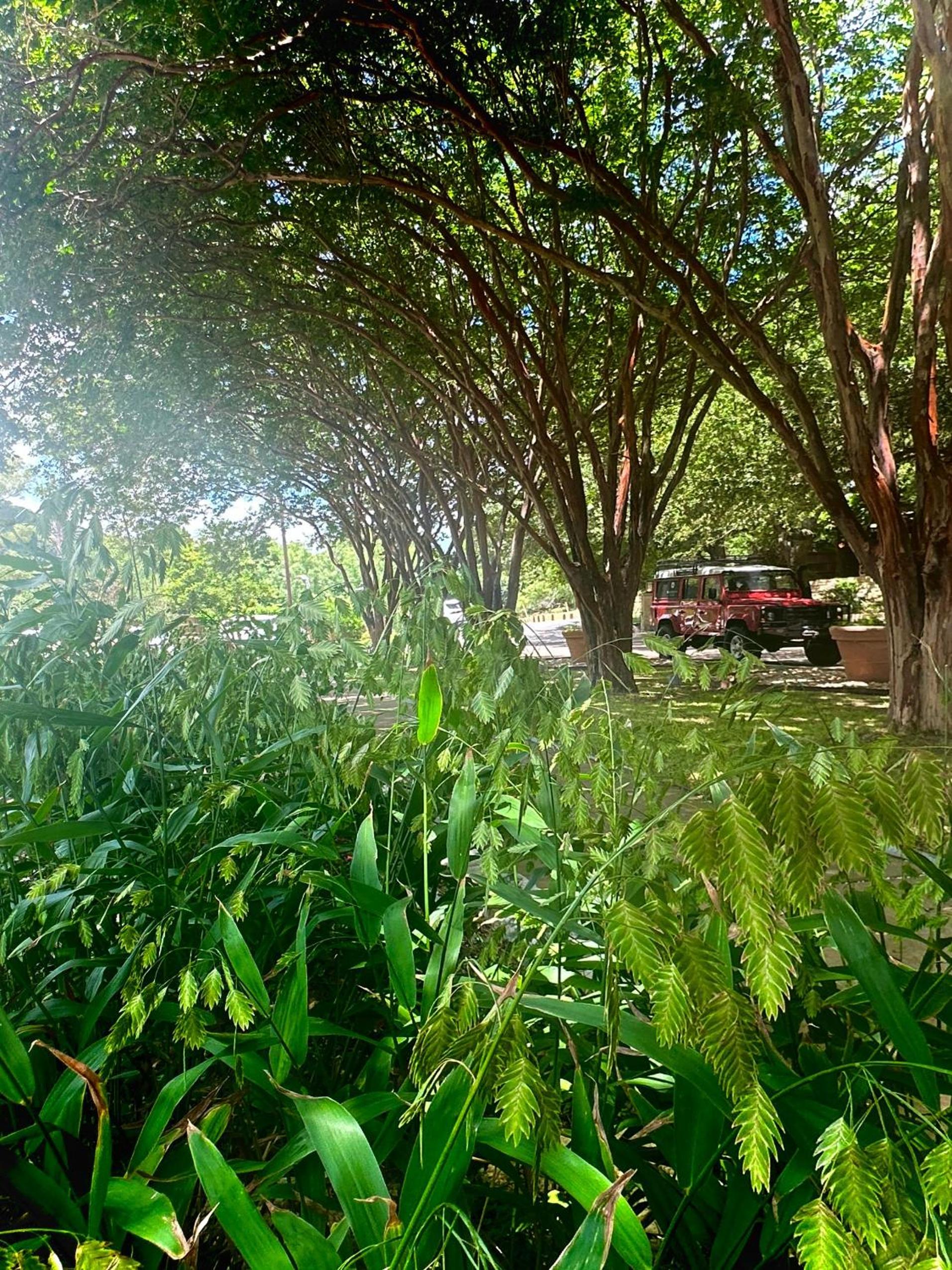 Lake Austin Spa Resort - All Inclusive - Image 5