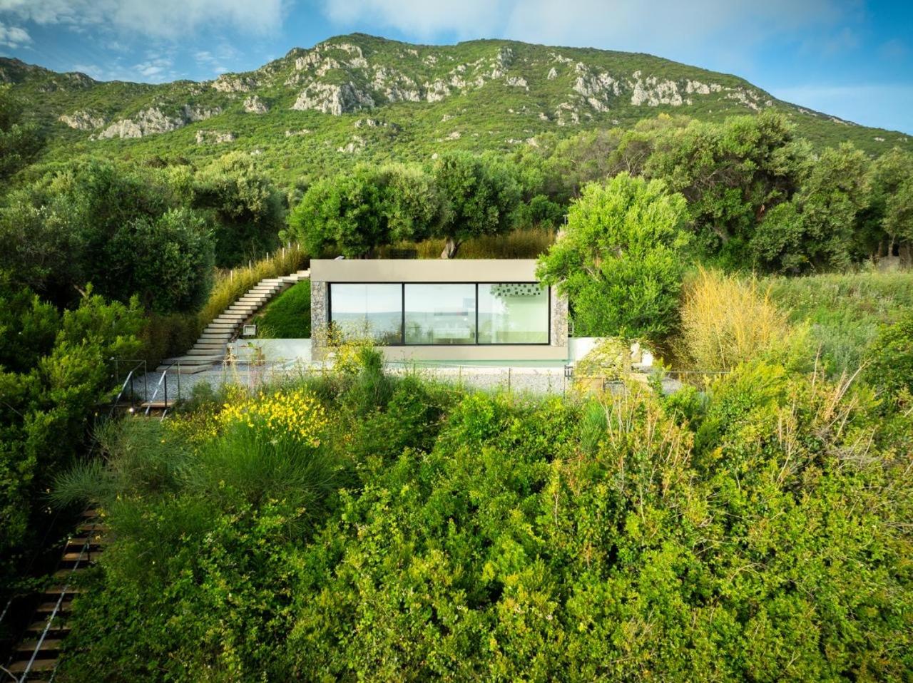 Rouvelas Waterfront Nest