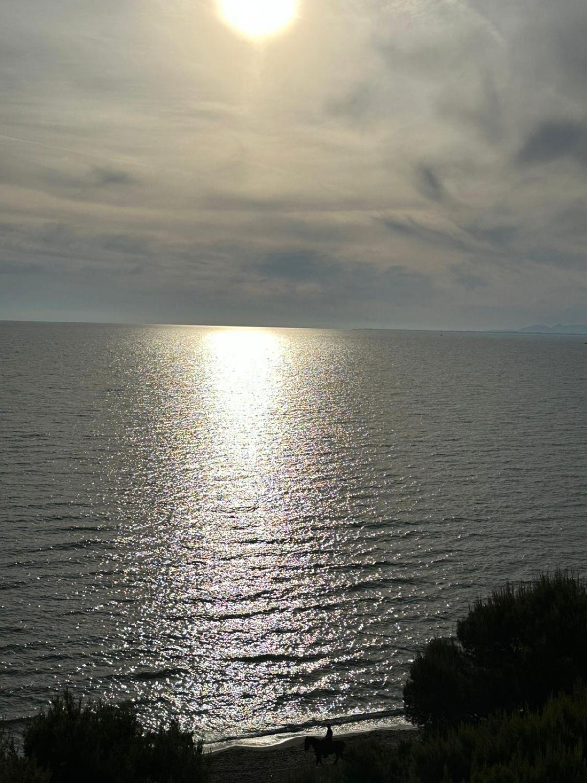 Sea La Vie
