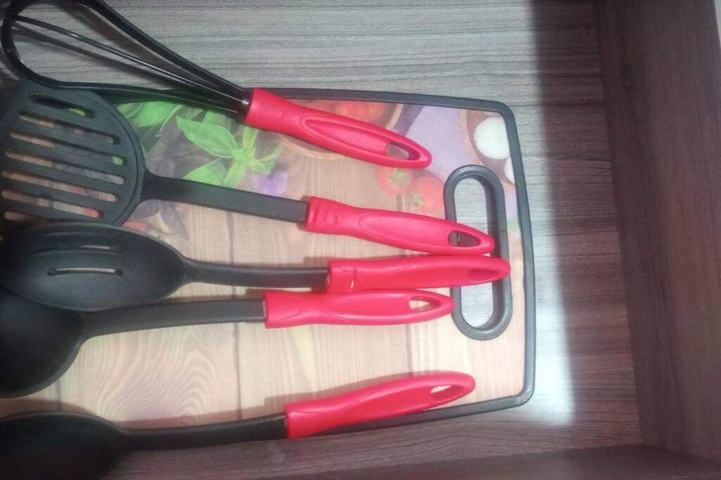 apartamento acogedor dotado excelentes acabado