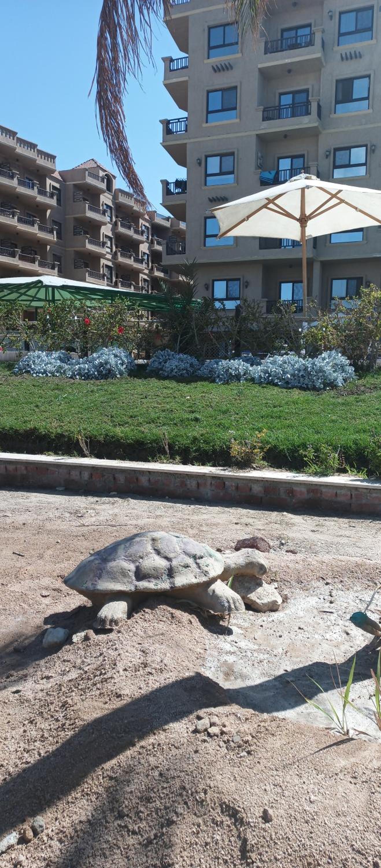 Turtles Beach Resort
