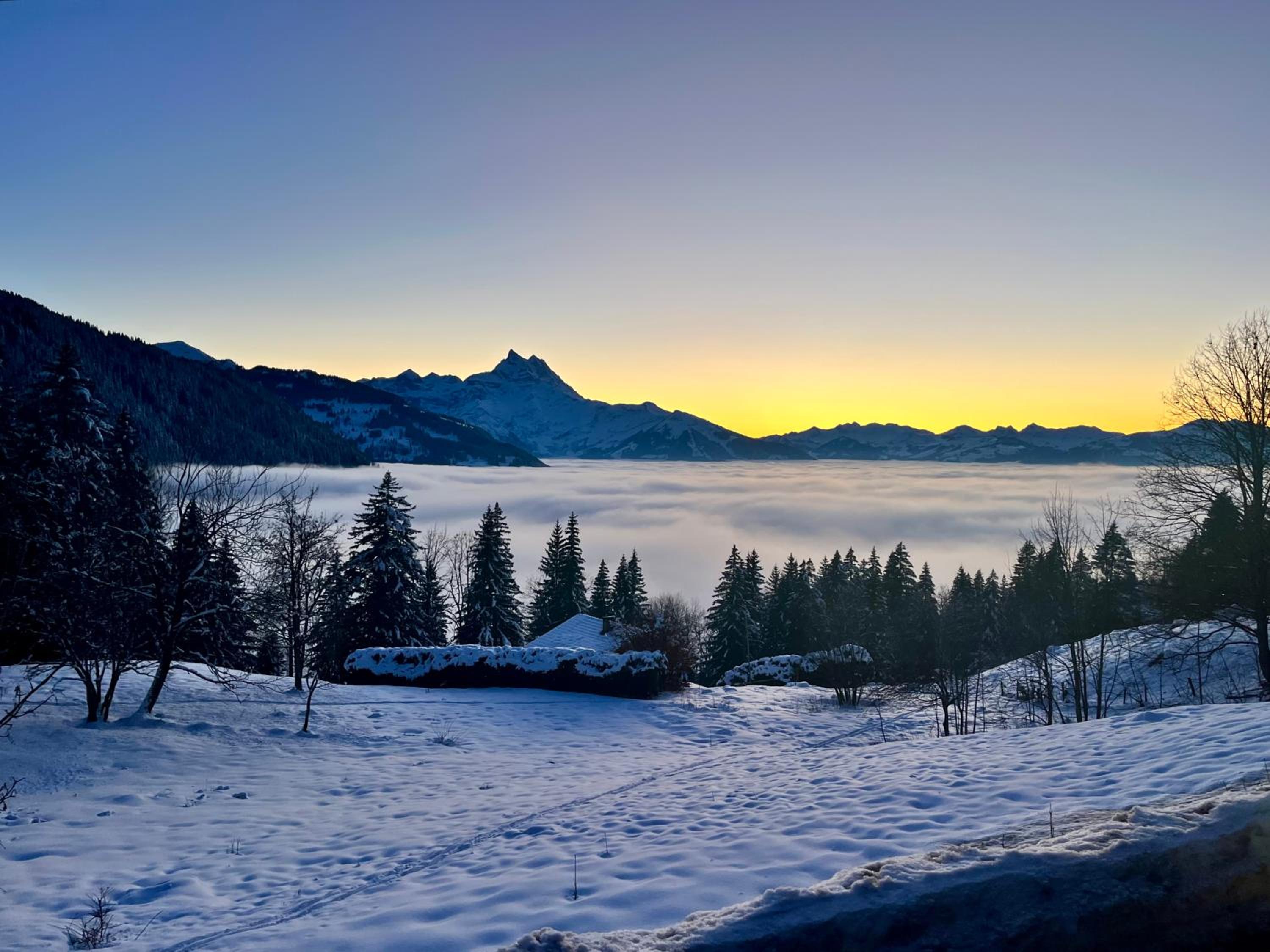 THE ALPINE STUDIO by the ski slopes & lake Frience