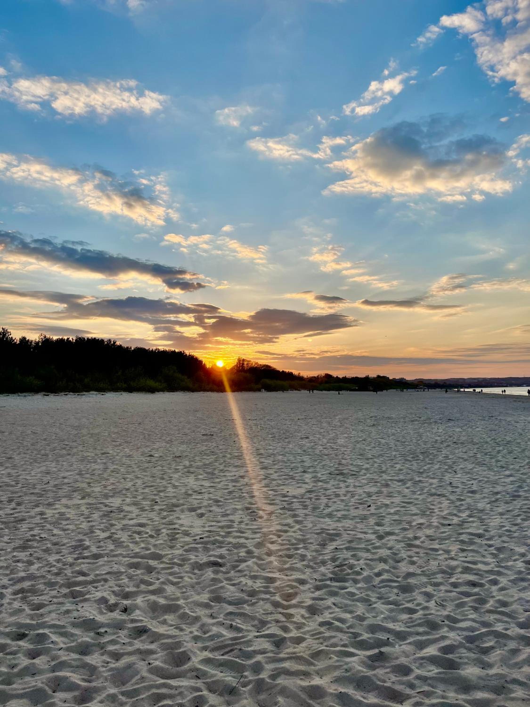 Exclusive Baltic Apt Forest Park View by PolandBnB