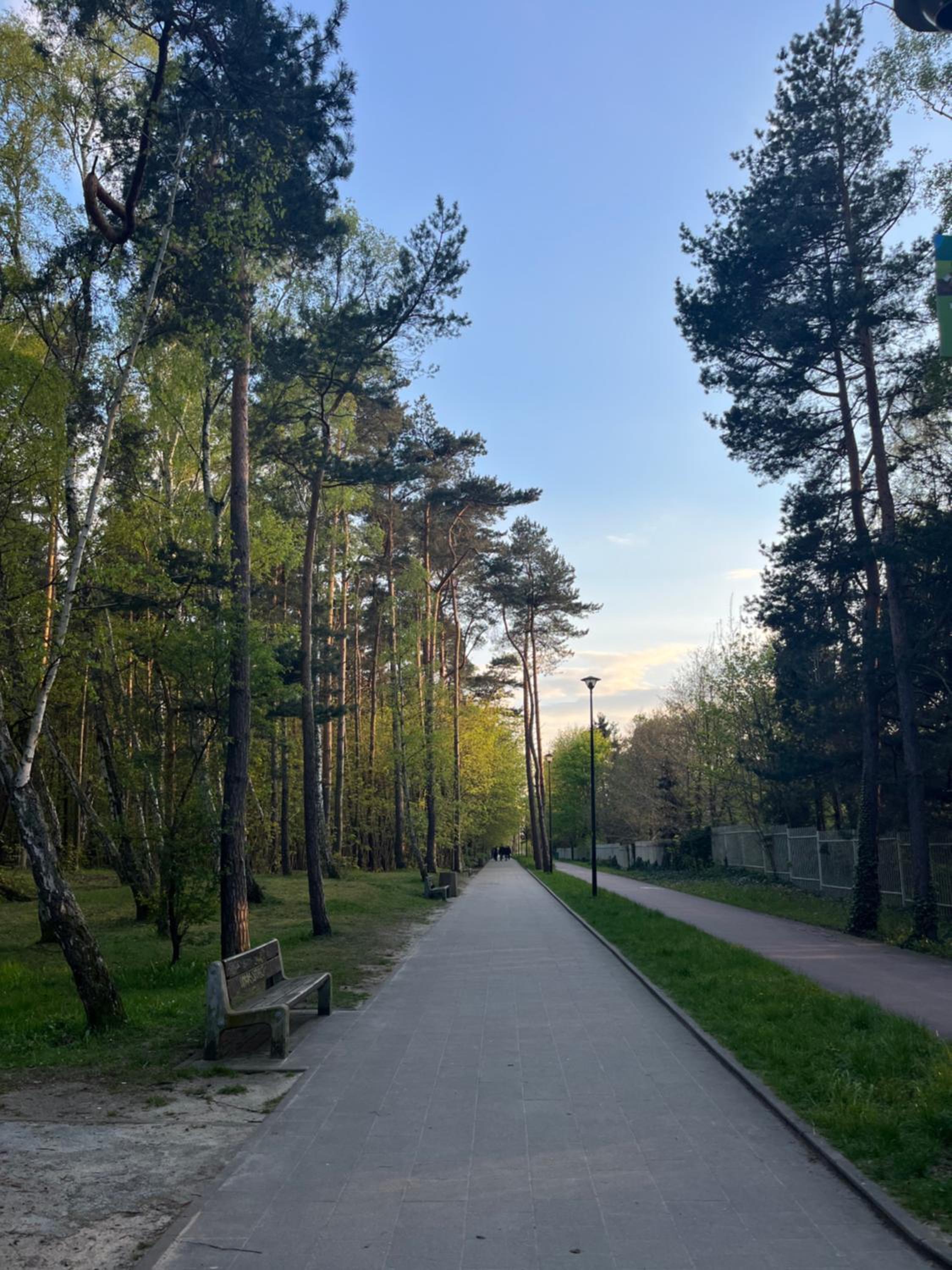 Exclusive Baltic Apt Forest Park View by PolandBnB