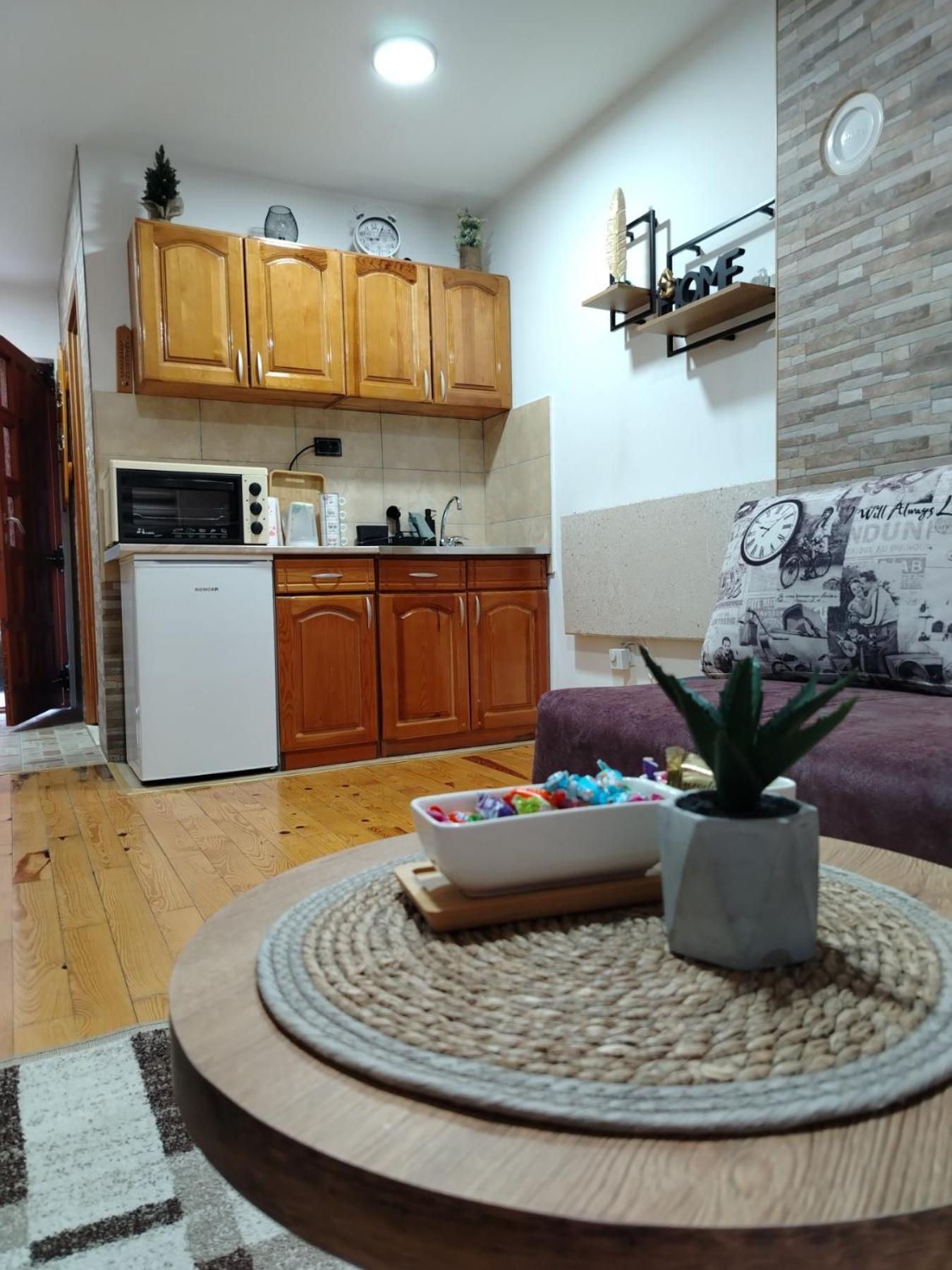 Simic Apartmani Tara view 5