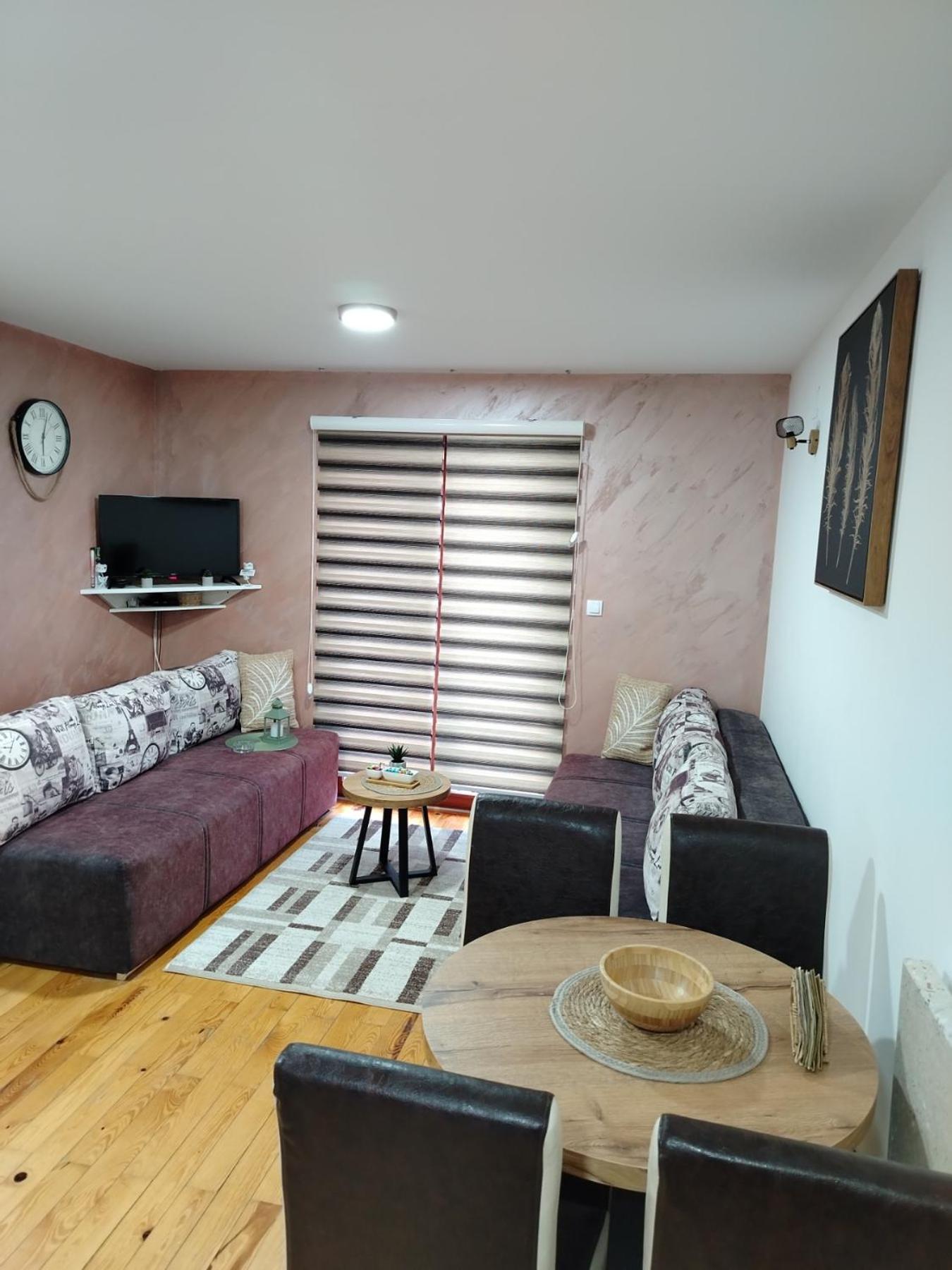 Simic Apartmani Tara view 3