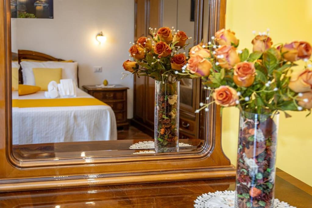 Casa La Cycas