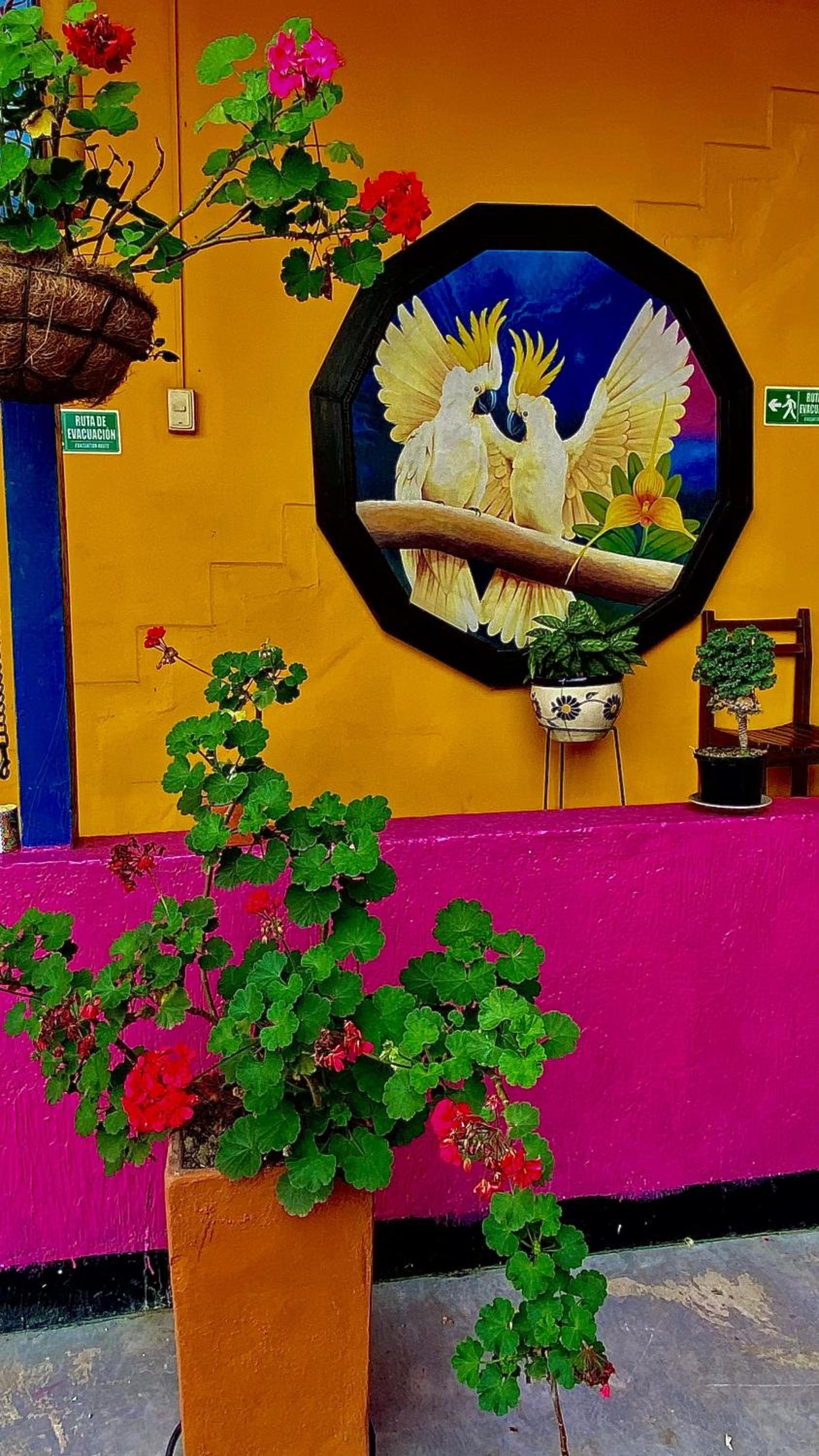 Hostal Campestre Araucarias