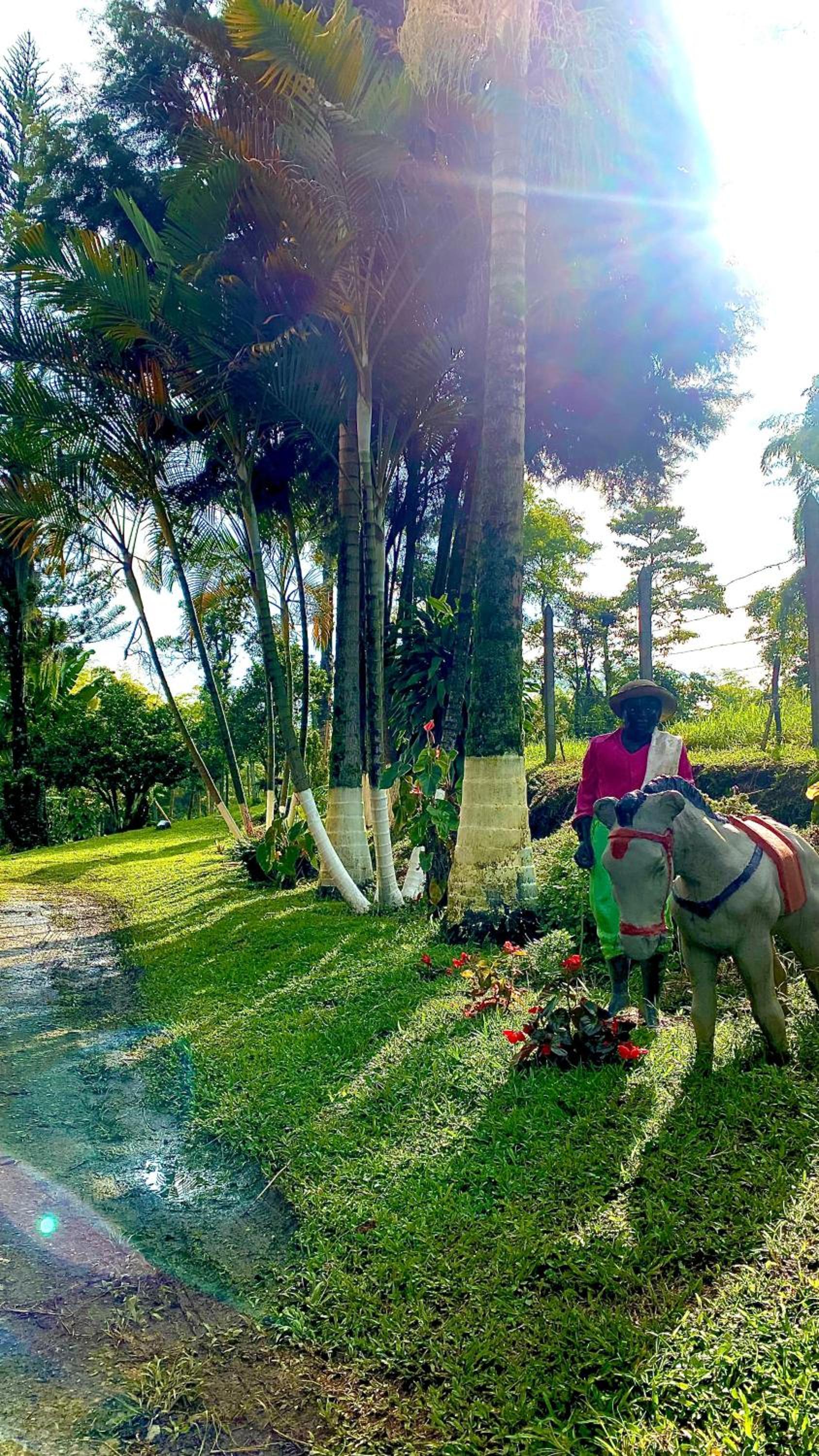 Hostal Campestre Araucarias