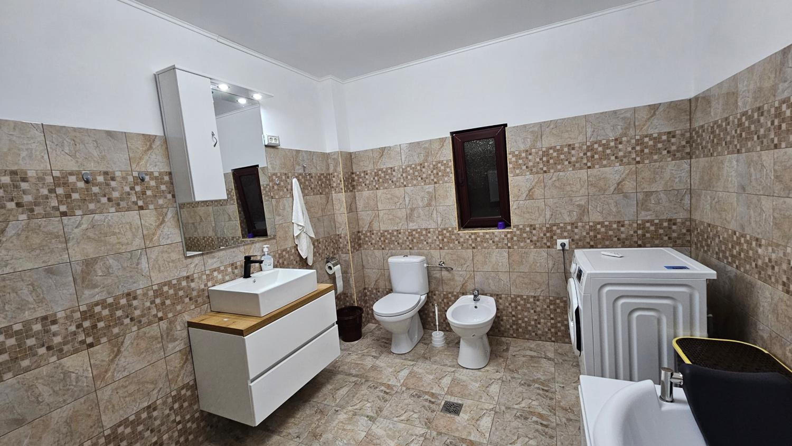 Casa de la Dunăre-Dăeni view 2