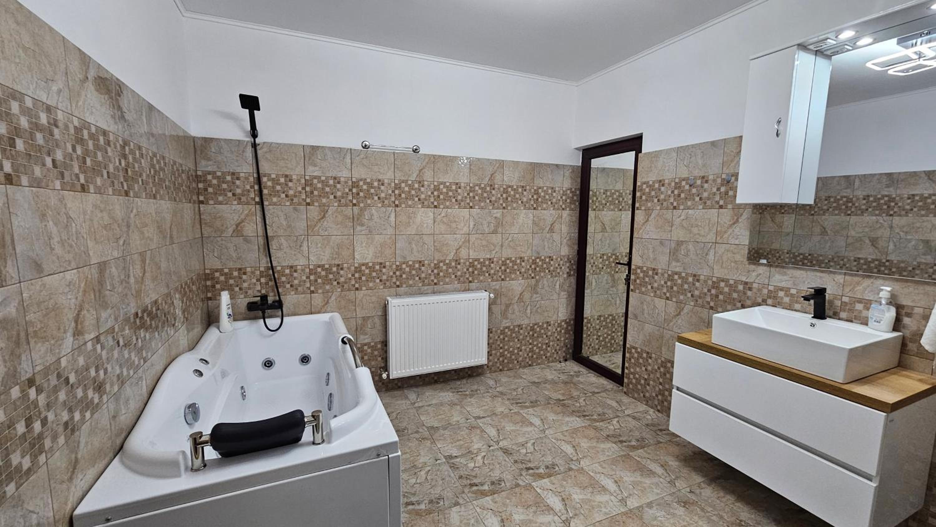 Casa de la Dunăre-Dăeni view 4