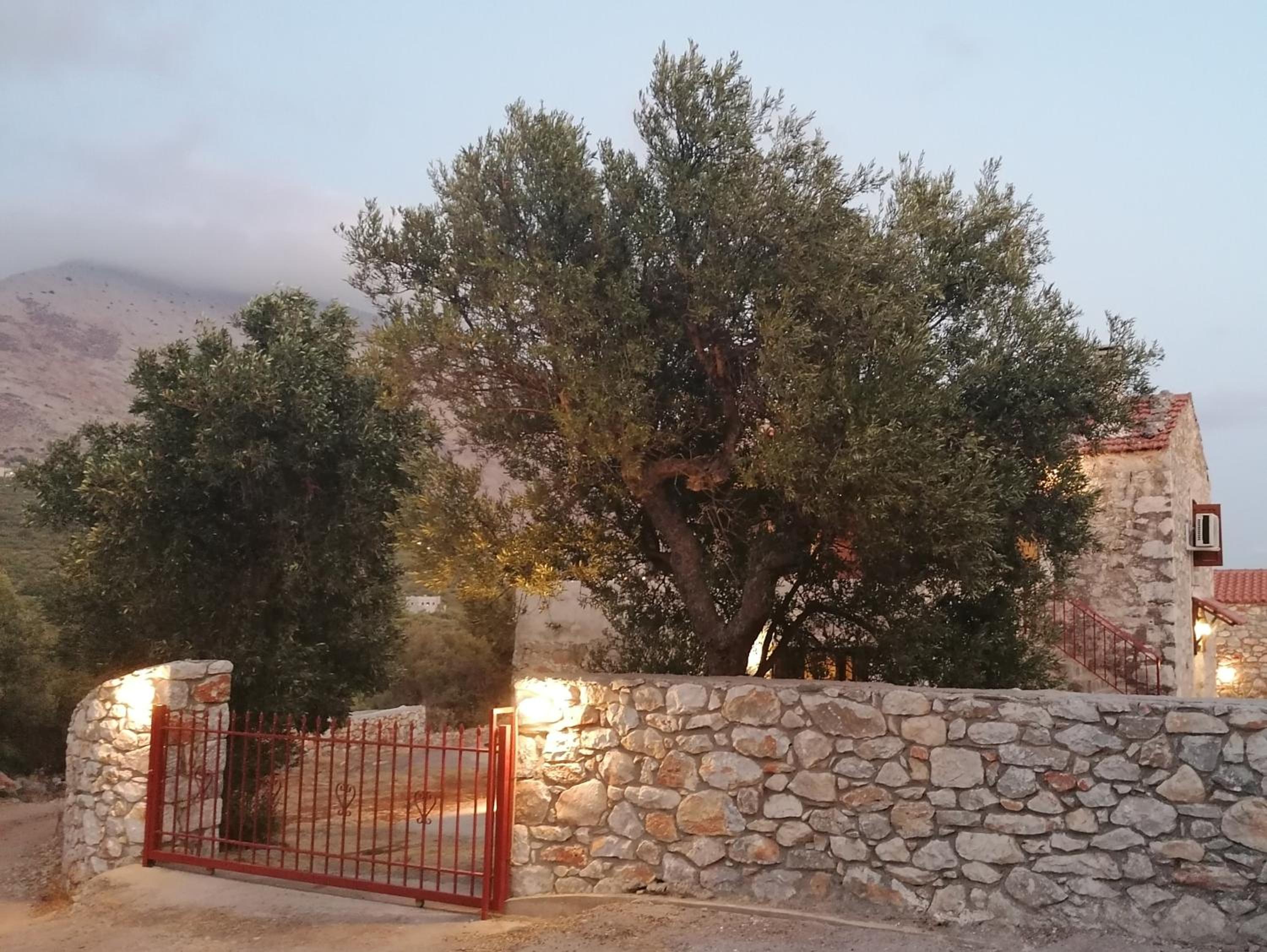 Xemoni House