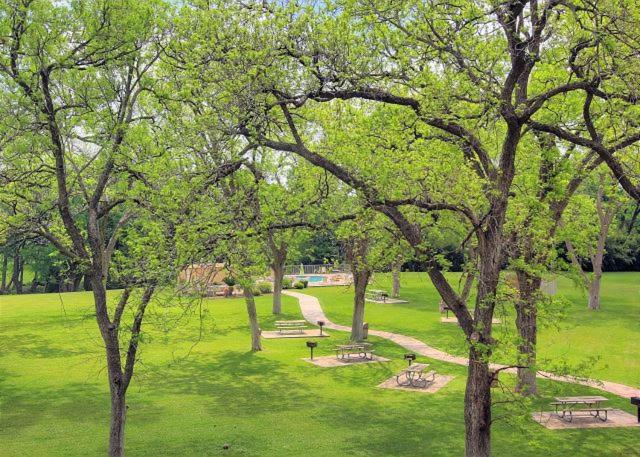 WW H302 5 O Clock Somewhere view 3