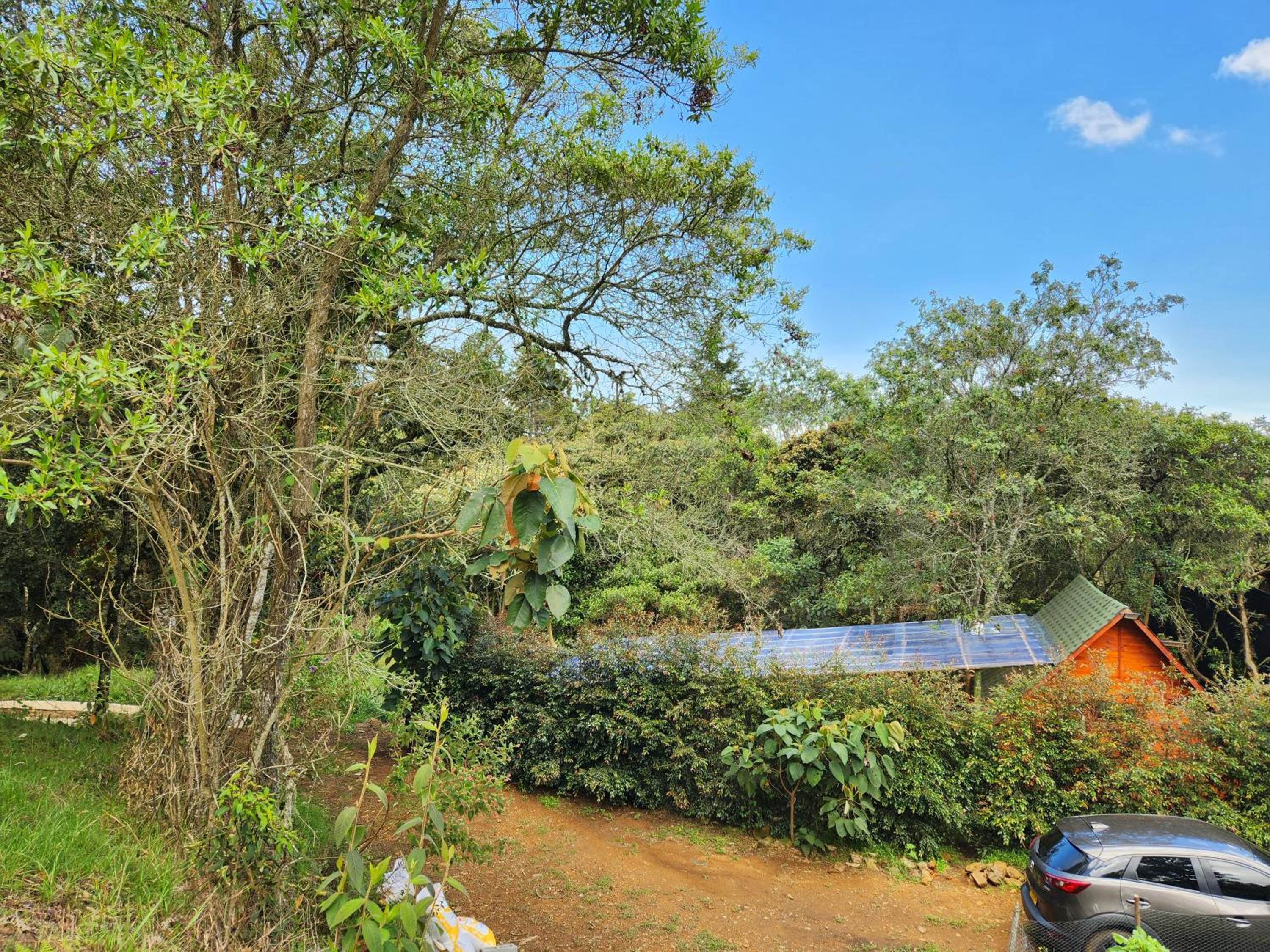 Cabaña en la Naturaleza con Jacuzzi - Santa Elena