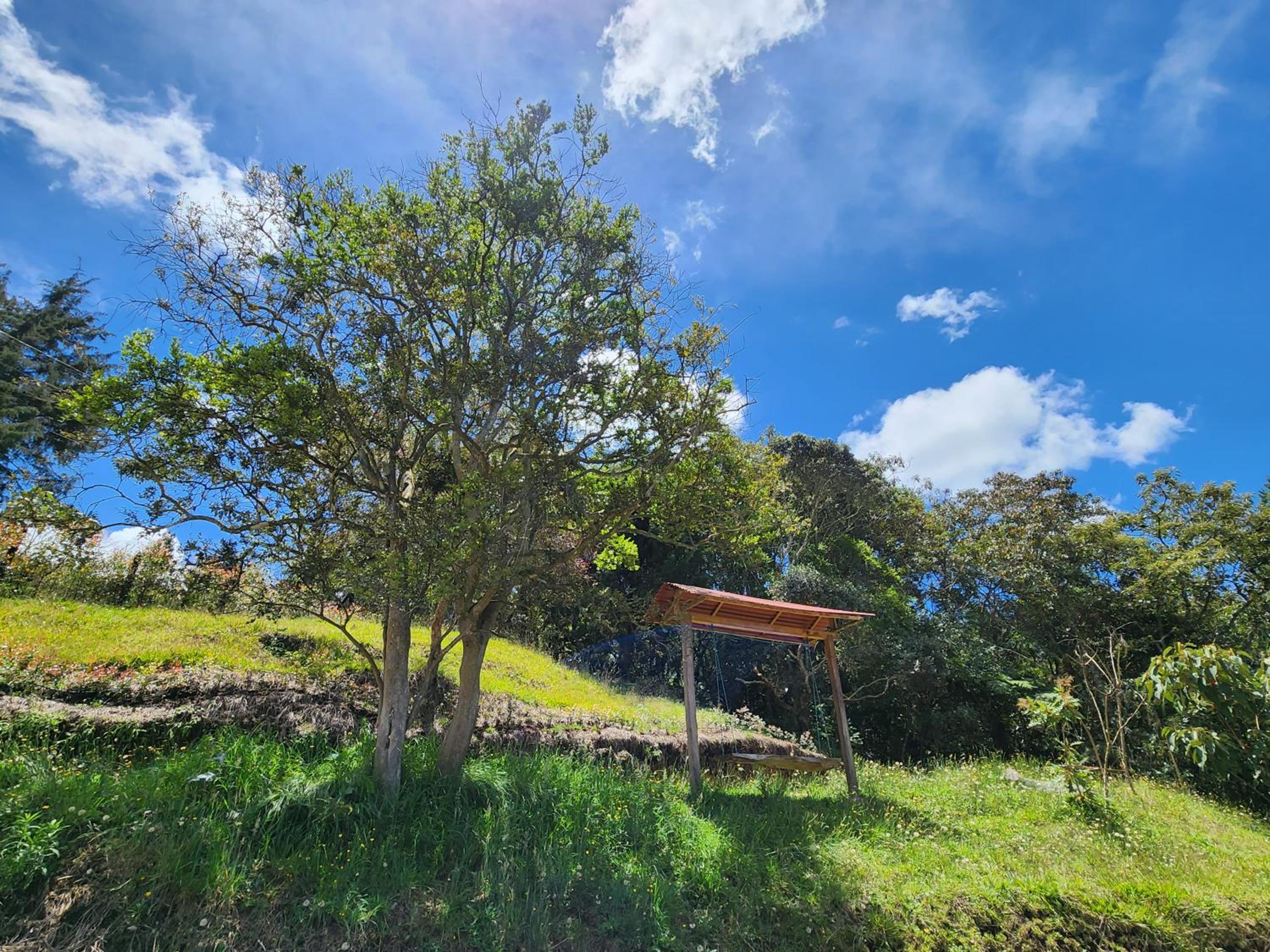 Cabaña en la Naturaleza con Jacuzzi - Santa Elena