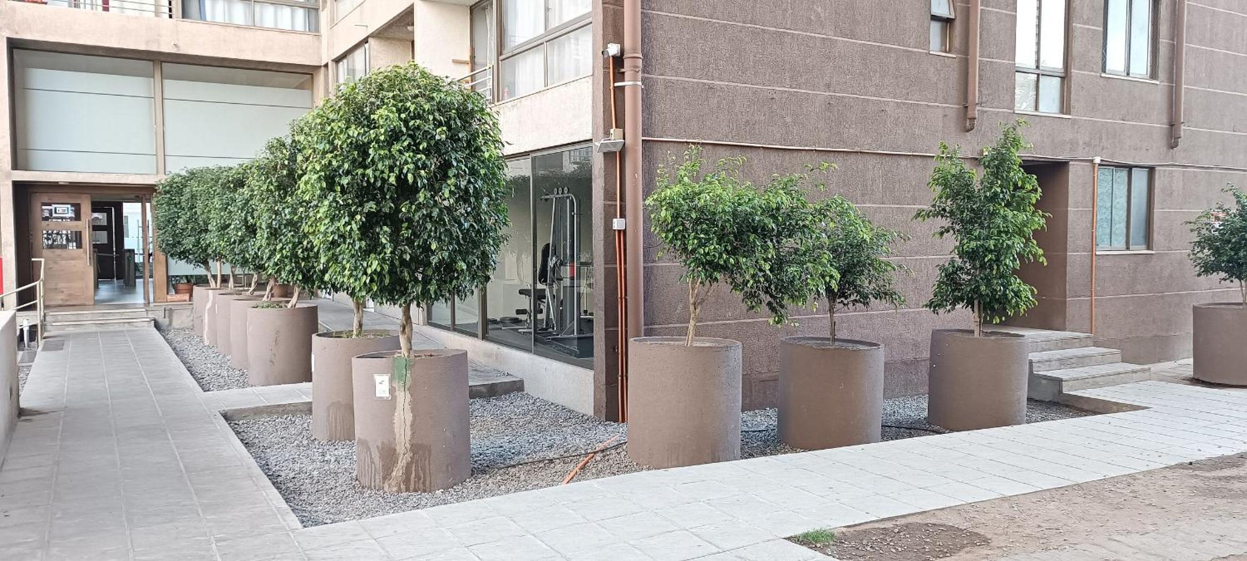 Apartamento Living Terminal 1505