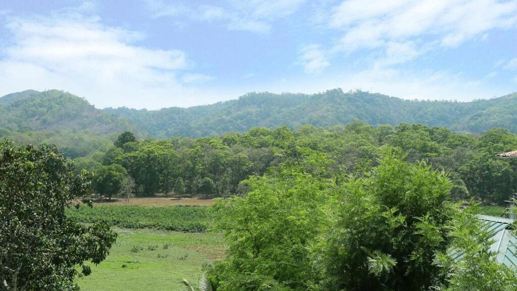 Hill Green Homestay