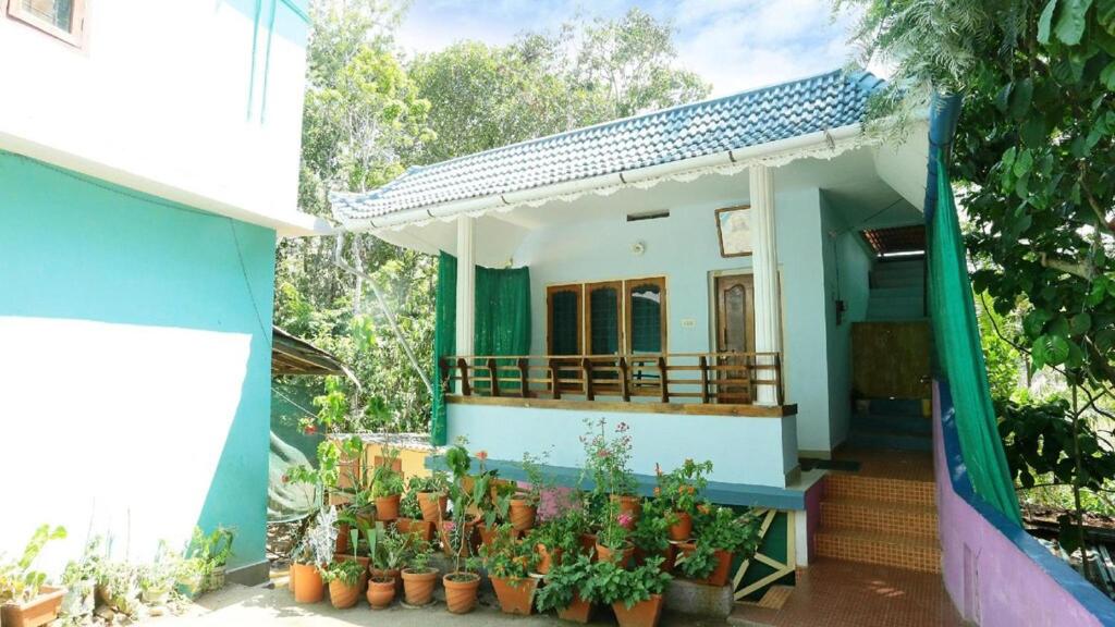 Hill Green Homestay