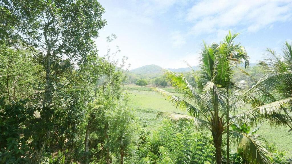 Hill Green Homestay