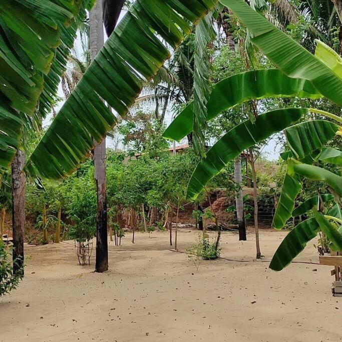 Pousada Praia dos Buritis