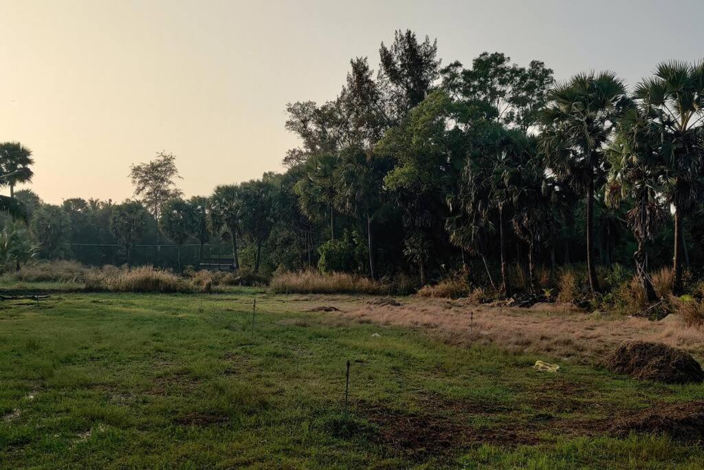 Stanrose Farm Stay view 5