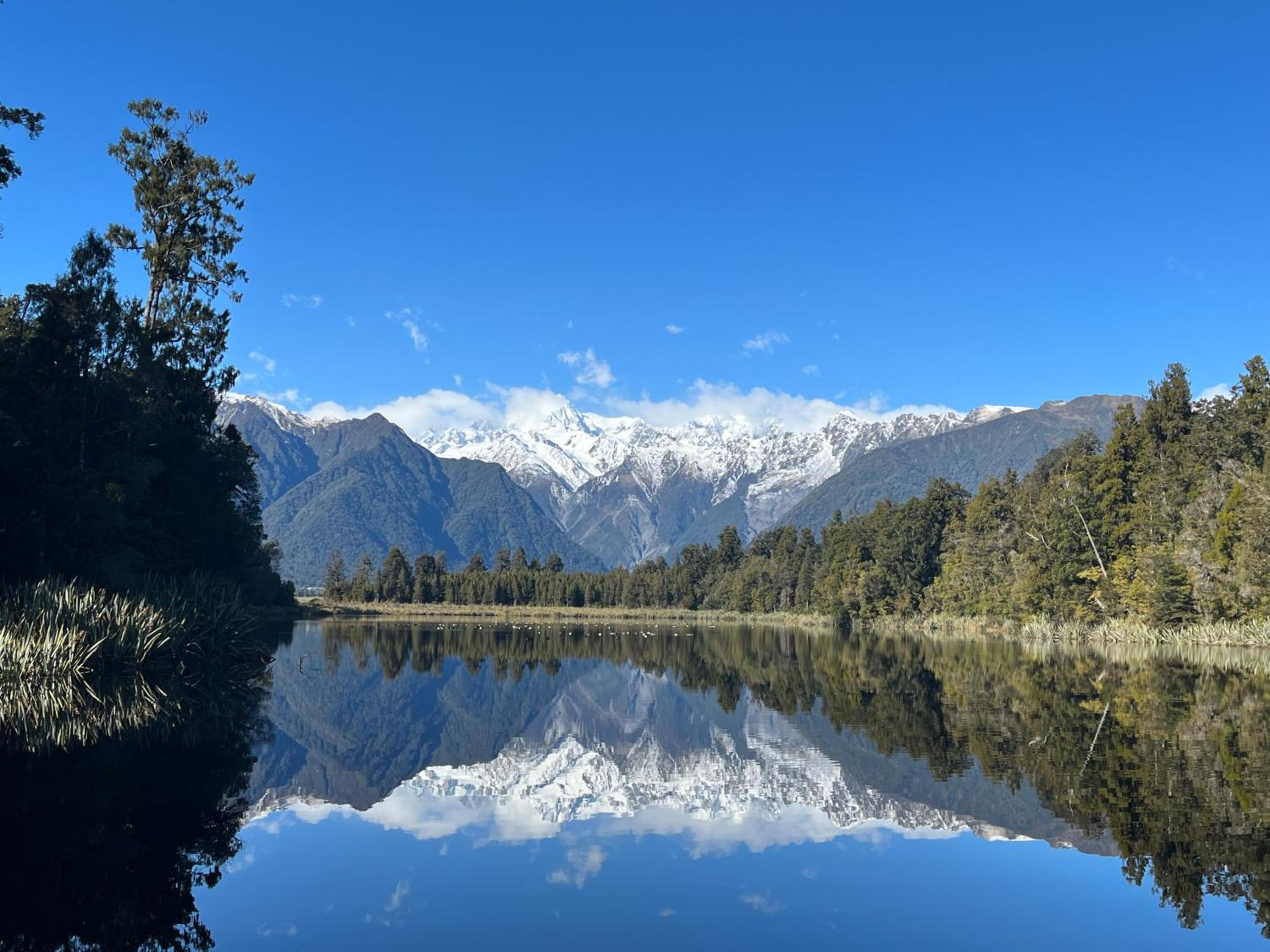 Fox Glacier Lodge