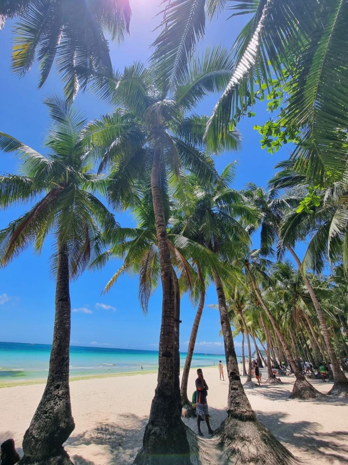 Nirvana Beach Resort
