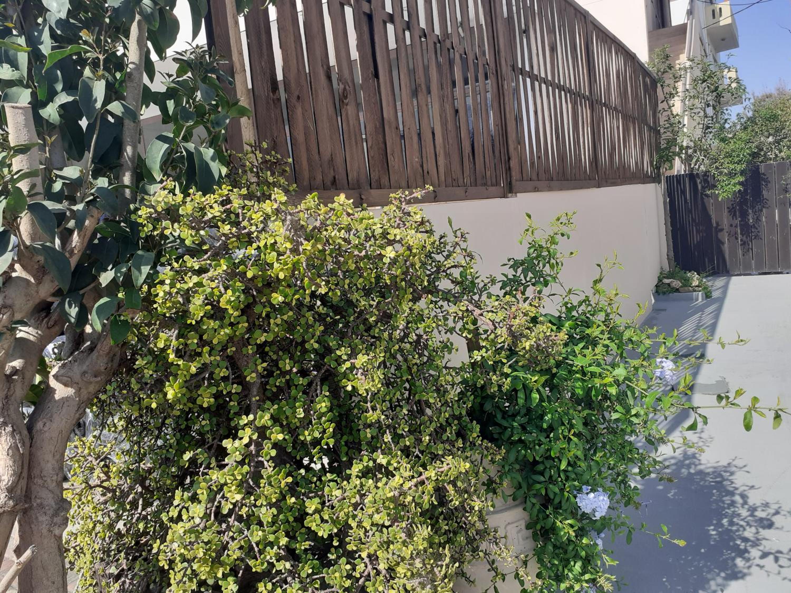 House escape view 3
