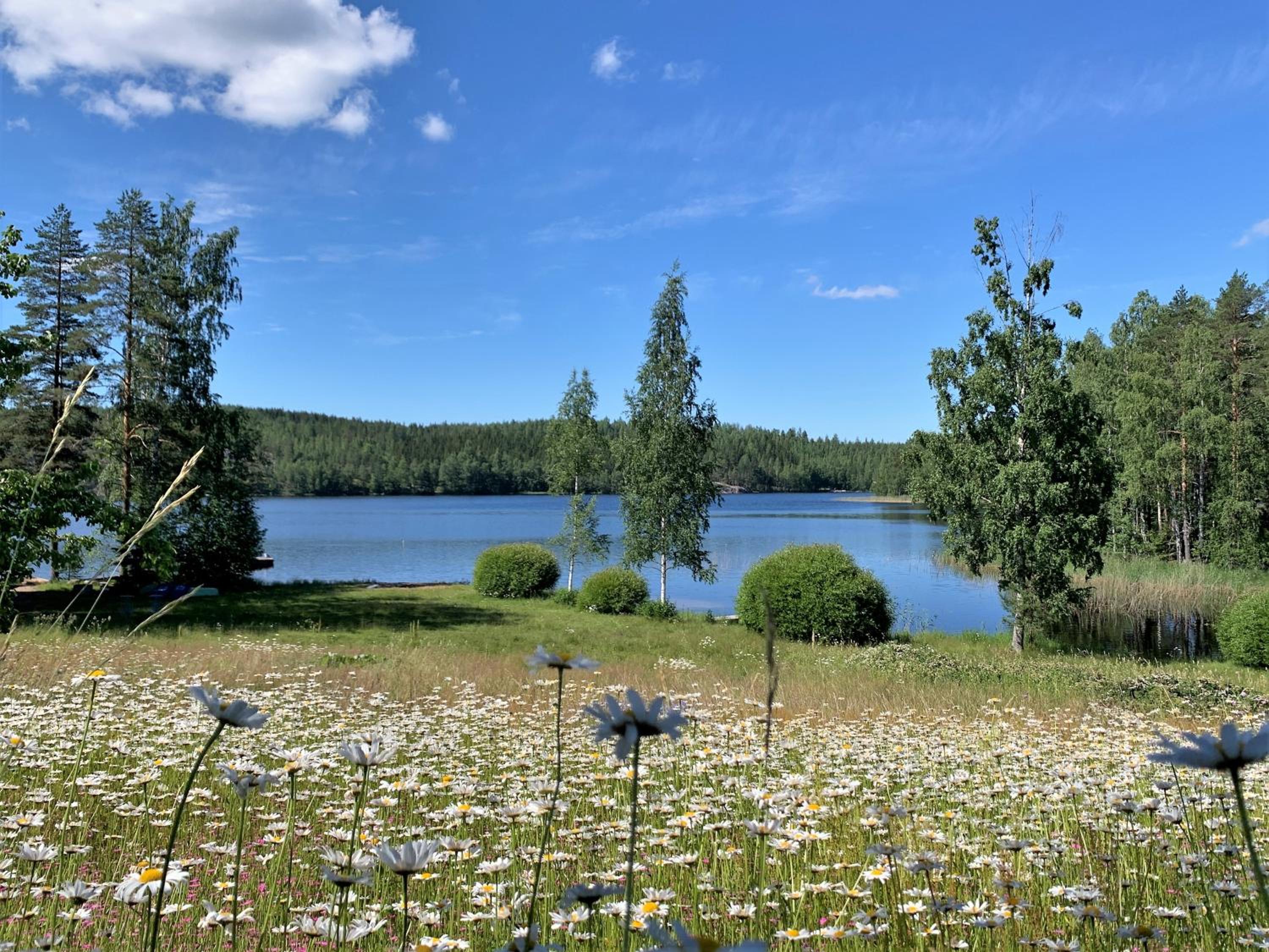 Lappalaisen lomamökit Majoitushuoneisto