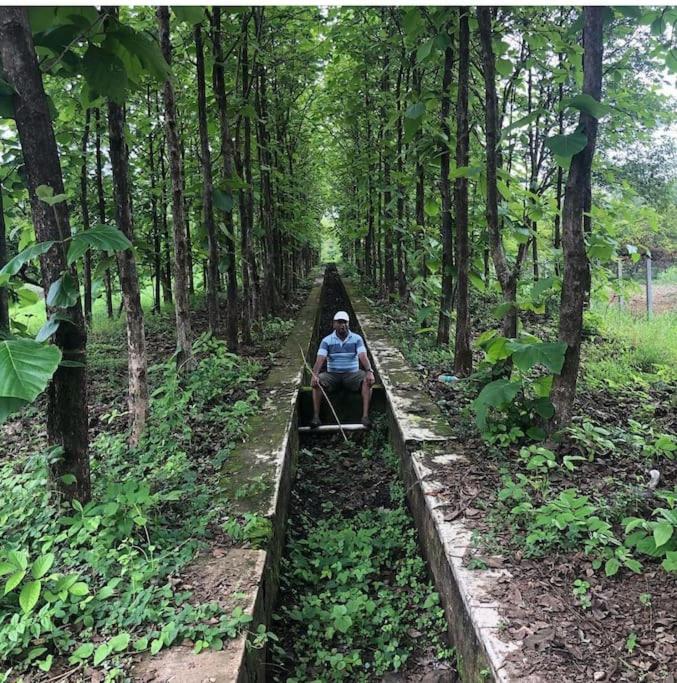 Pinjal Farmstays -Nature's Getaway view 3