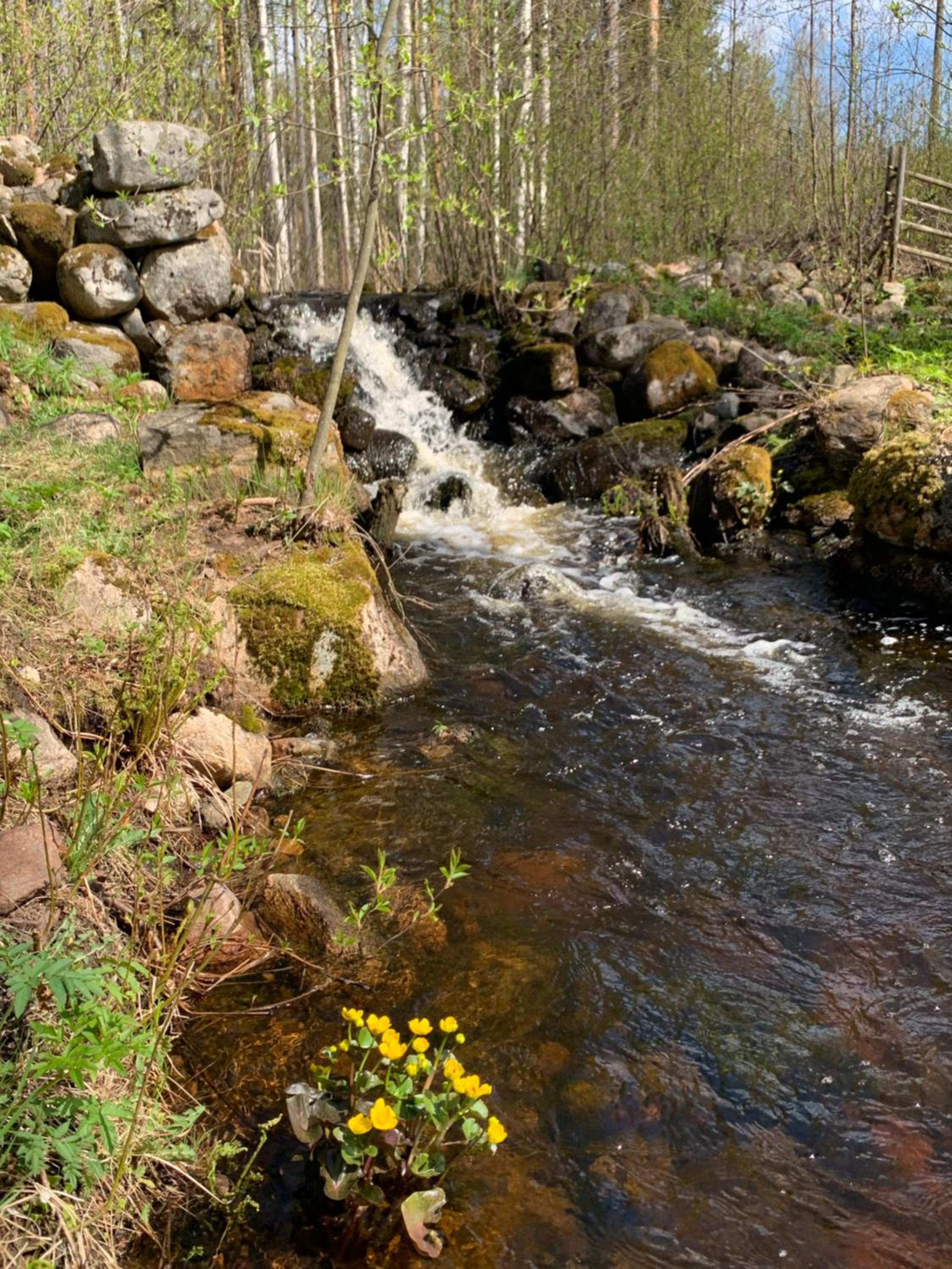 Lappalaisen lomamökit Majoitushuoneisto