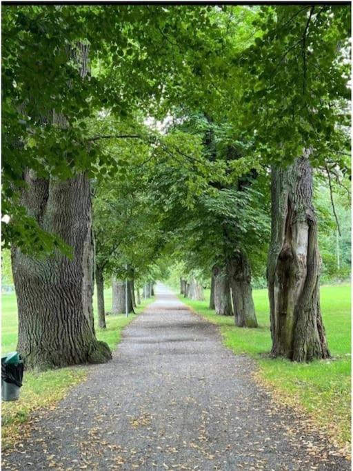 Nära metro, stranden och skogen. photo 2