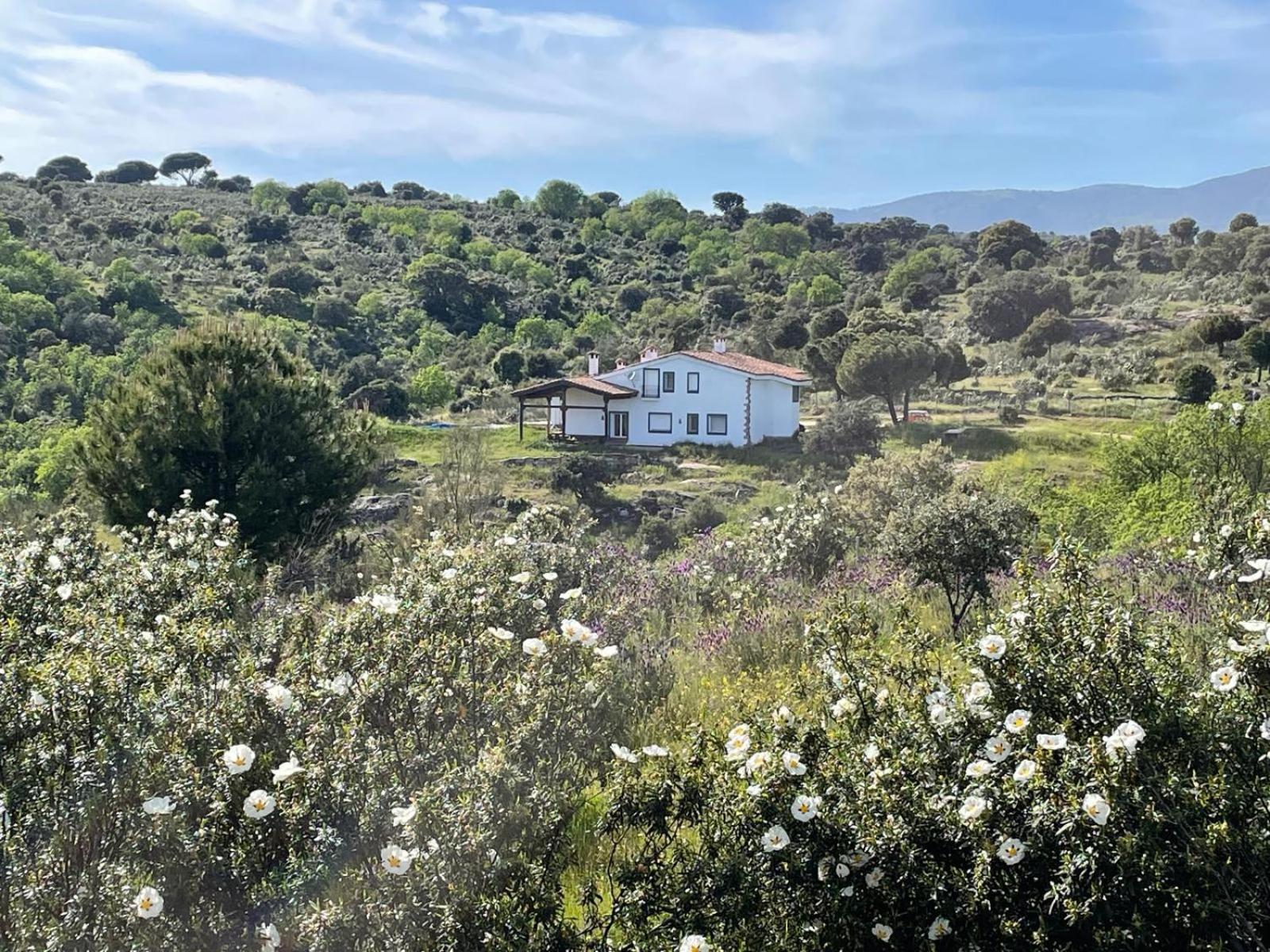 Finca Altair