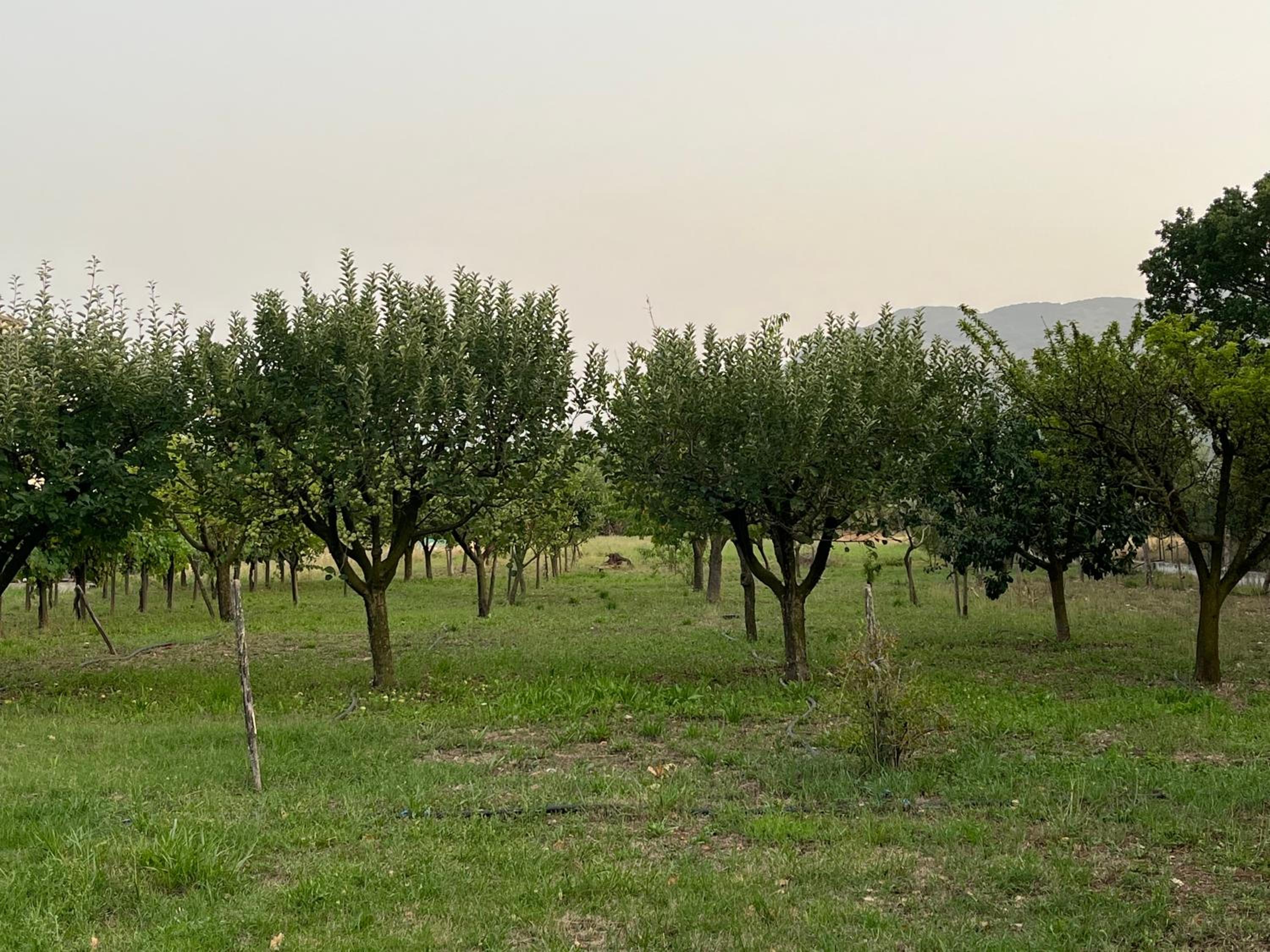 Villa Maria Caterina