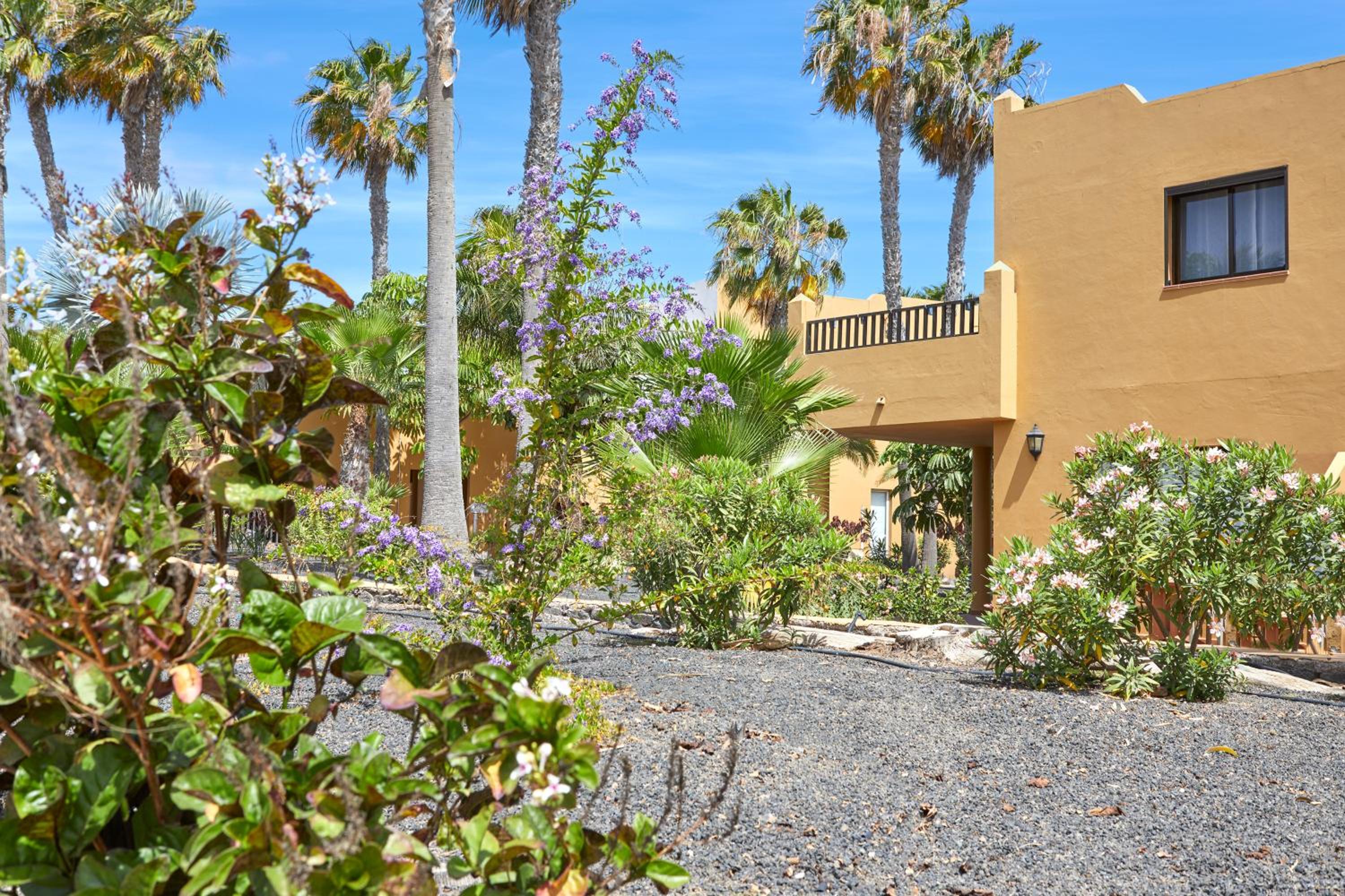 Apartamento Samira Fuerteventura