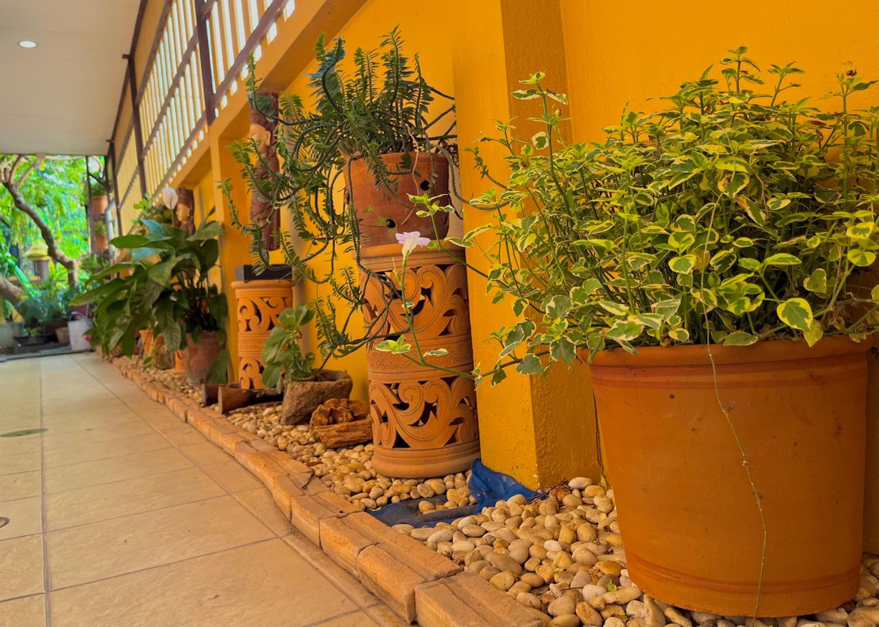 Baan Baramee House