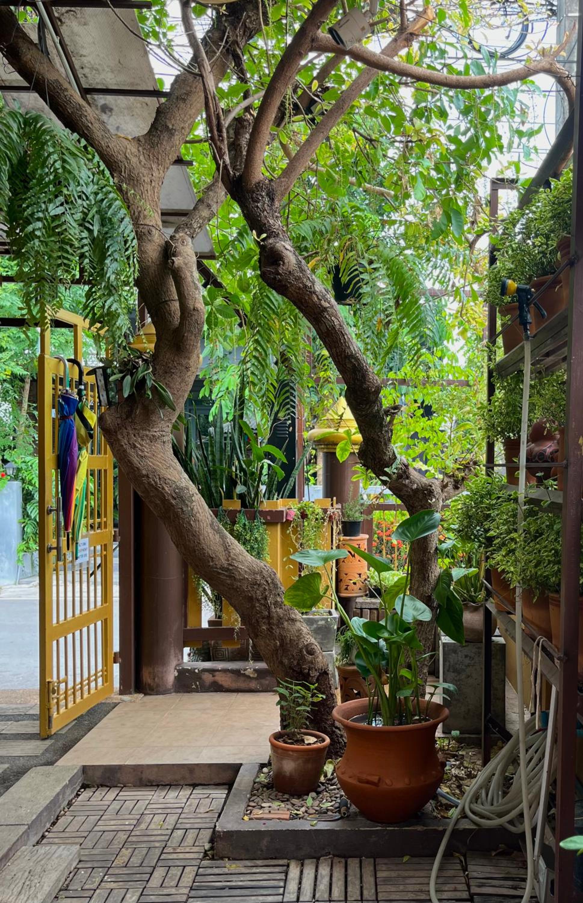 Baan Baramee House