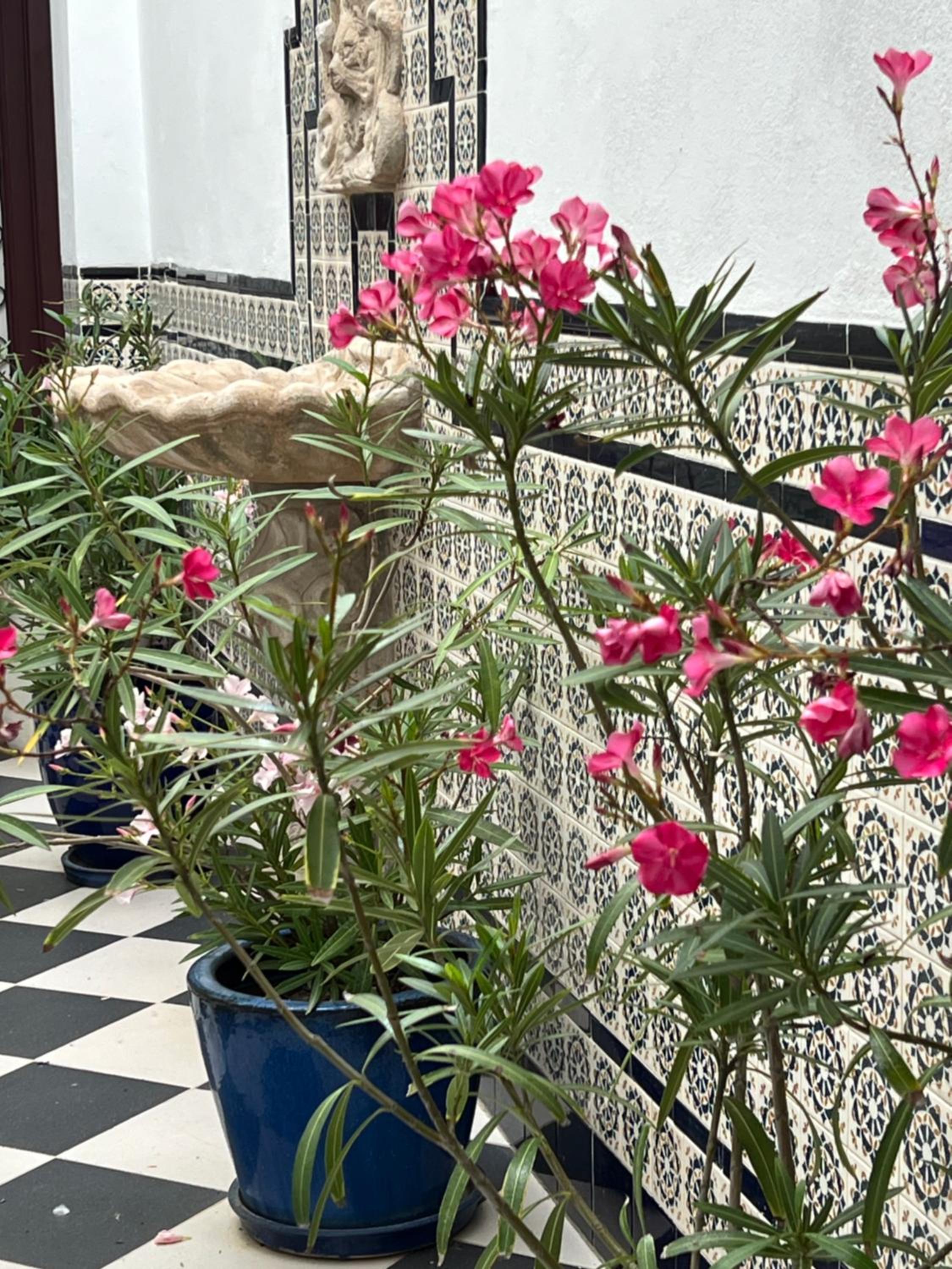 Cozy Apartment Malaga Center near Teatro Cervantes